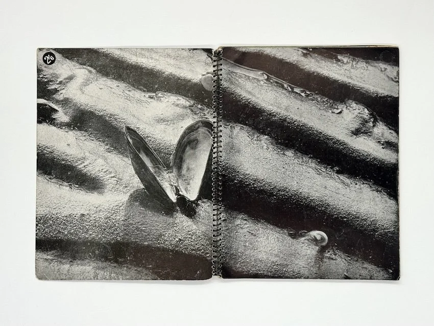 The Shell Guide to Cornwall (1935) edited by John Betjeman. The first volume of the celebrated Shell Guides Series