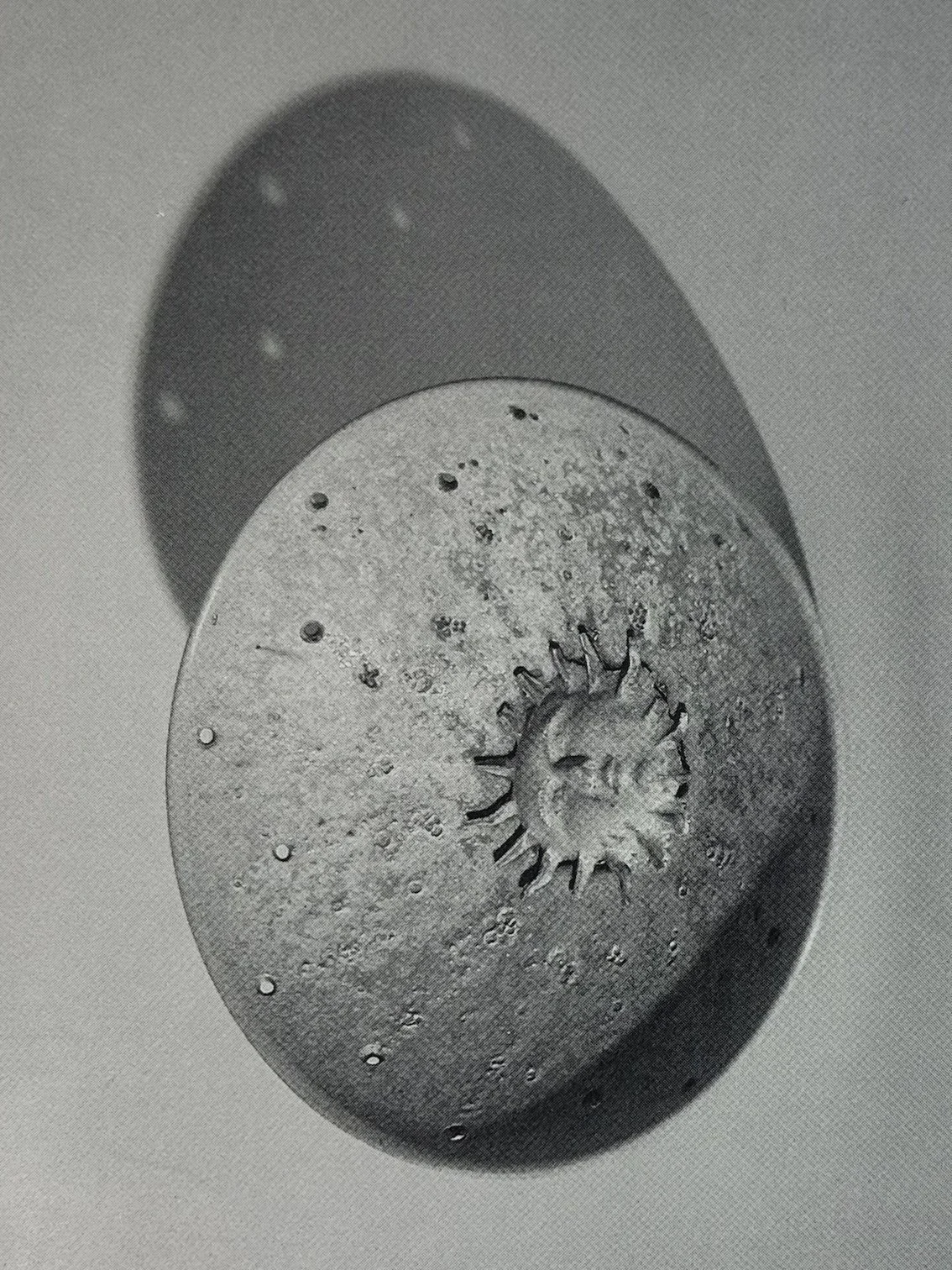 Colin Self’s Colin Selfs. ICA London 1986