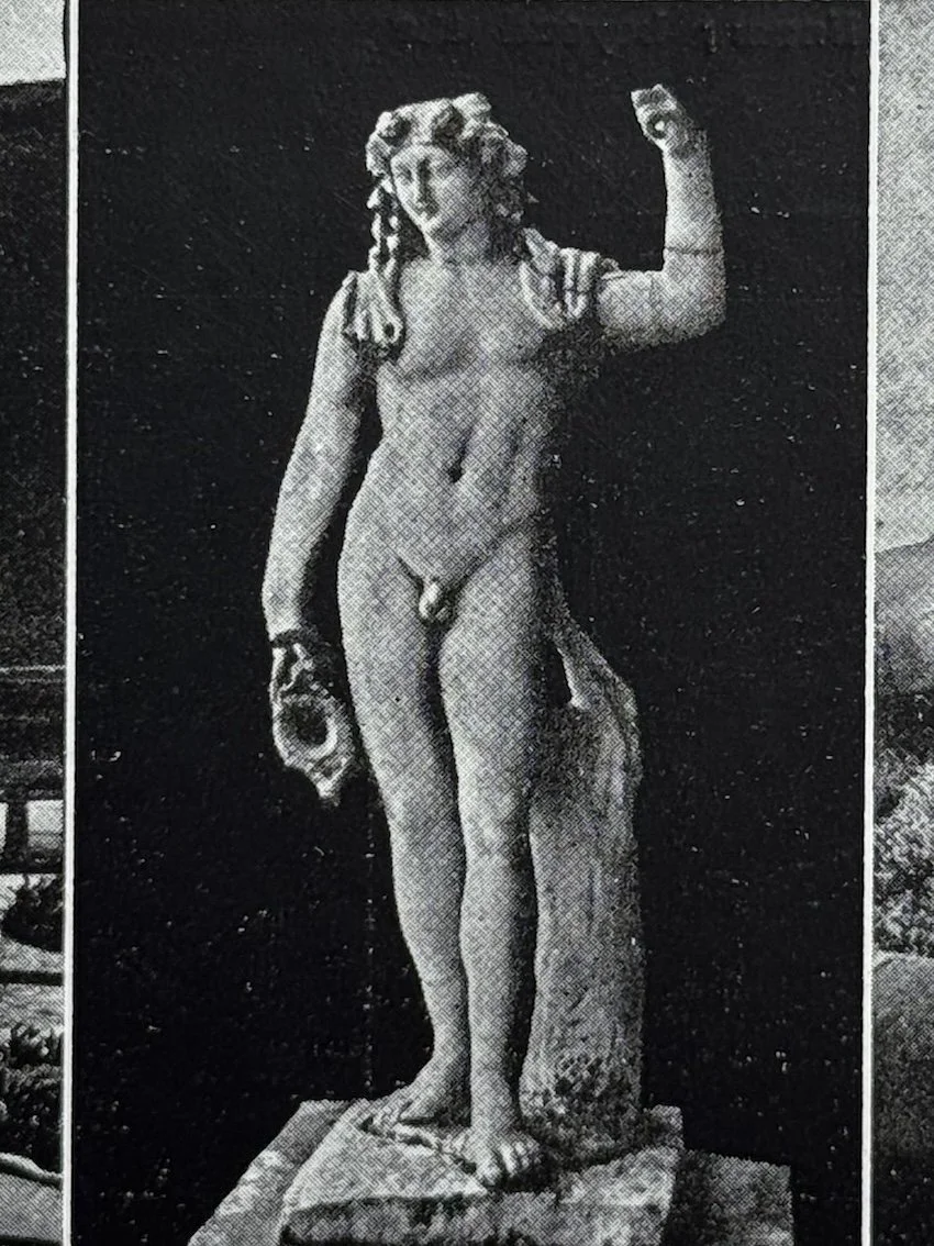 Pompeii “The Dead City”. Its Story and Art with 70 illustrations and a plan of the excavated portion of the town. The Medici Art Series, G. Fattorusso, Florence, 1925.
