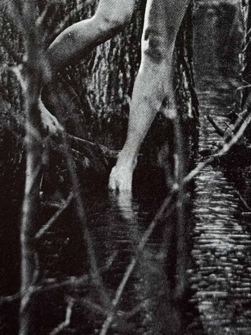 Signs of Life, Tamio Wakayama. The Coach House Press, Toronto, 1969.