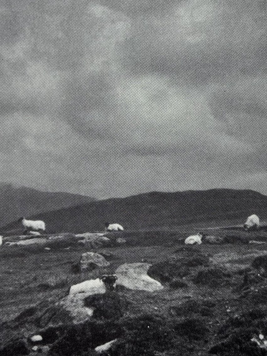 Undercut Spring 1983 7/8. Special Issue Landscape in Film and Photography. One of only approx 500 copies.
