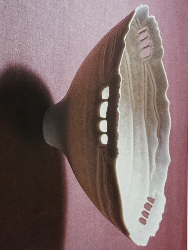 Peter Lane, Ceramic Form. Williams Collins Sons & Co., 1988