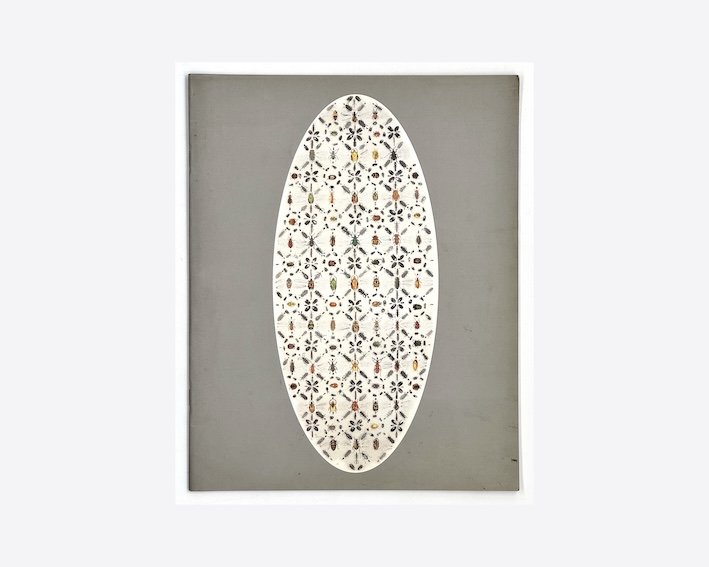 Elizabeth Gower, Chance or Design. Ian Potter Art Gallery, Melbourne Museum of Art, 1995