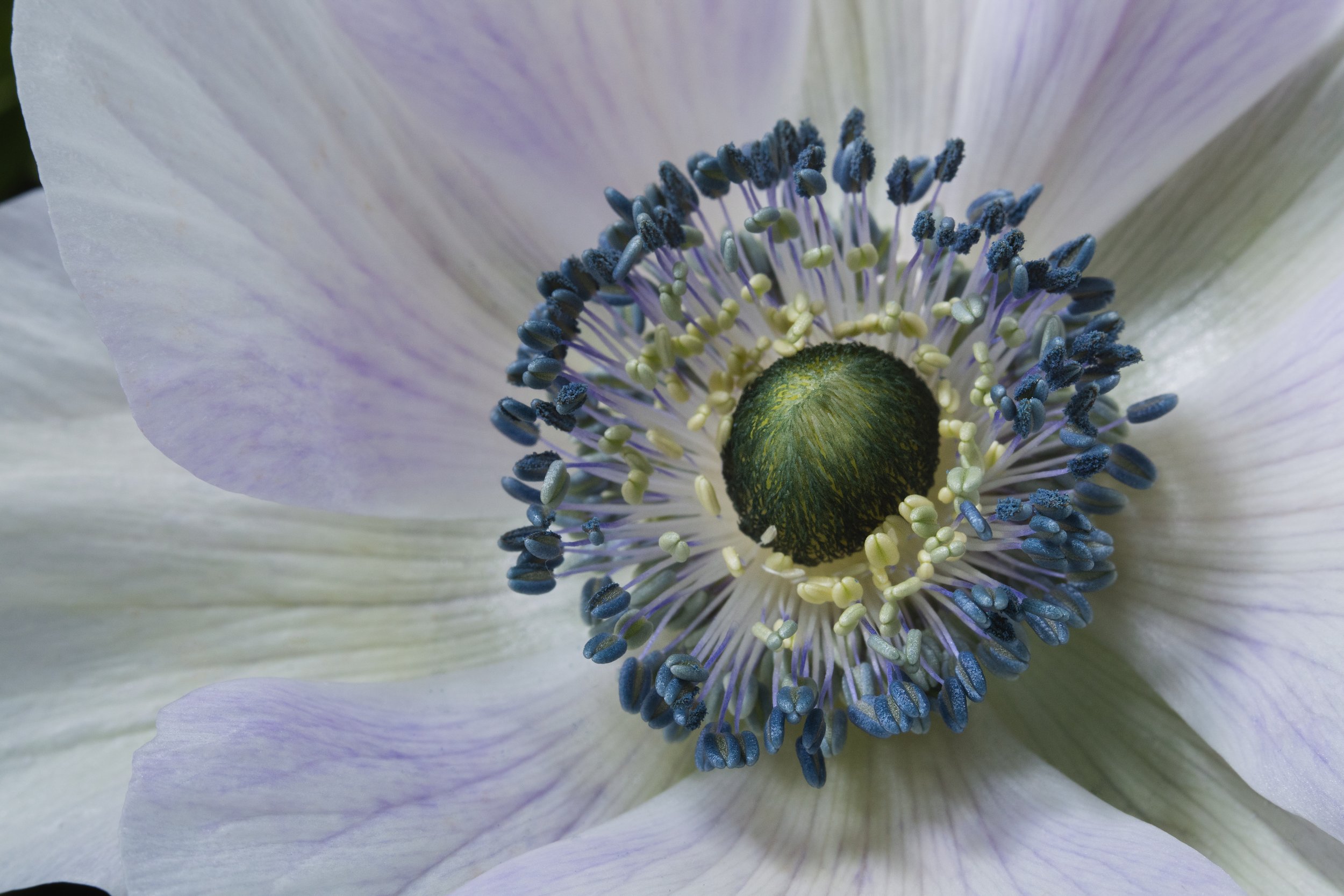 Flash Lights Home_07.jpg