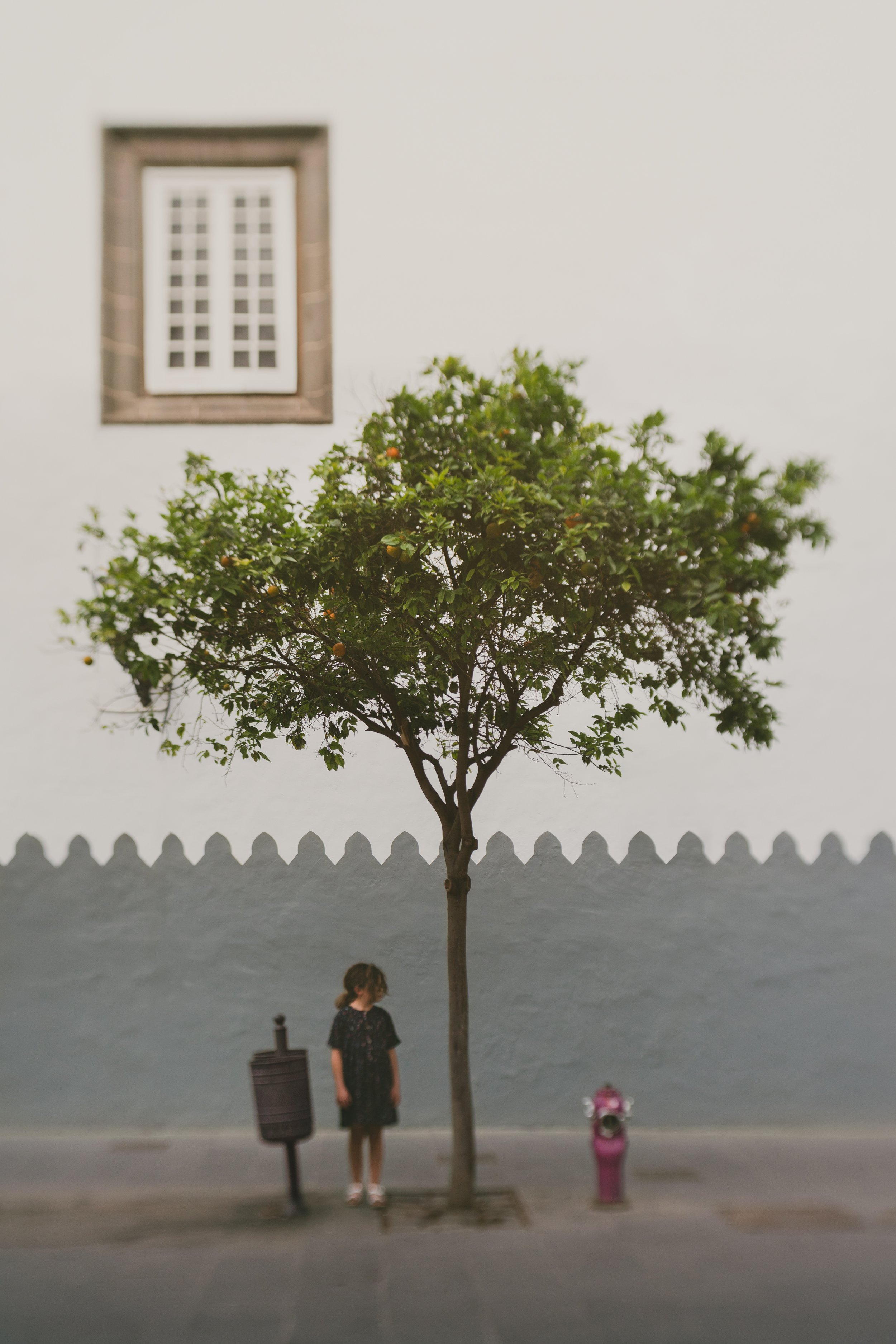 Lensbabay Trio 28