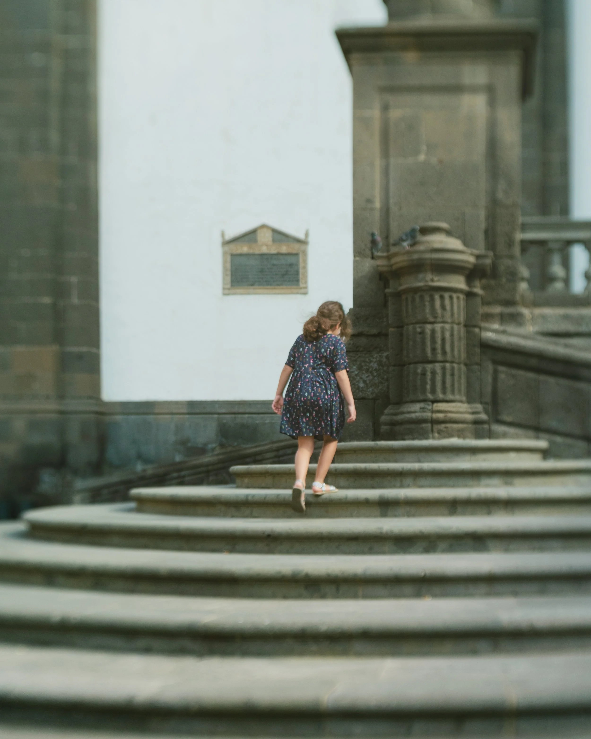 Lensbabay Trio 28