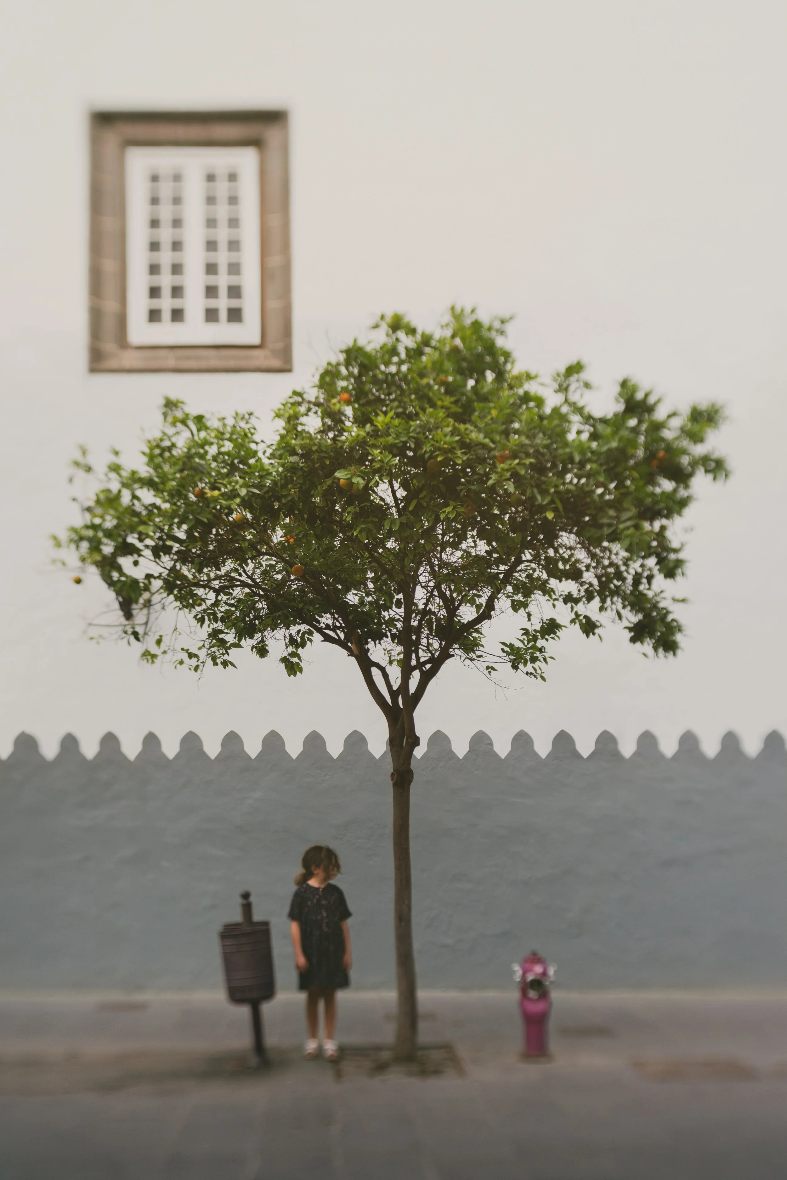 Kids Grani Canarias_05.jpg