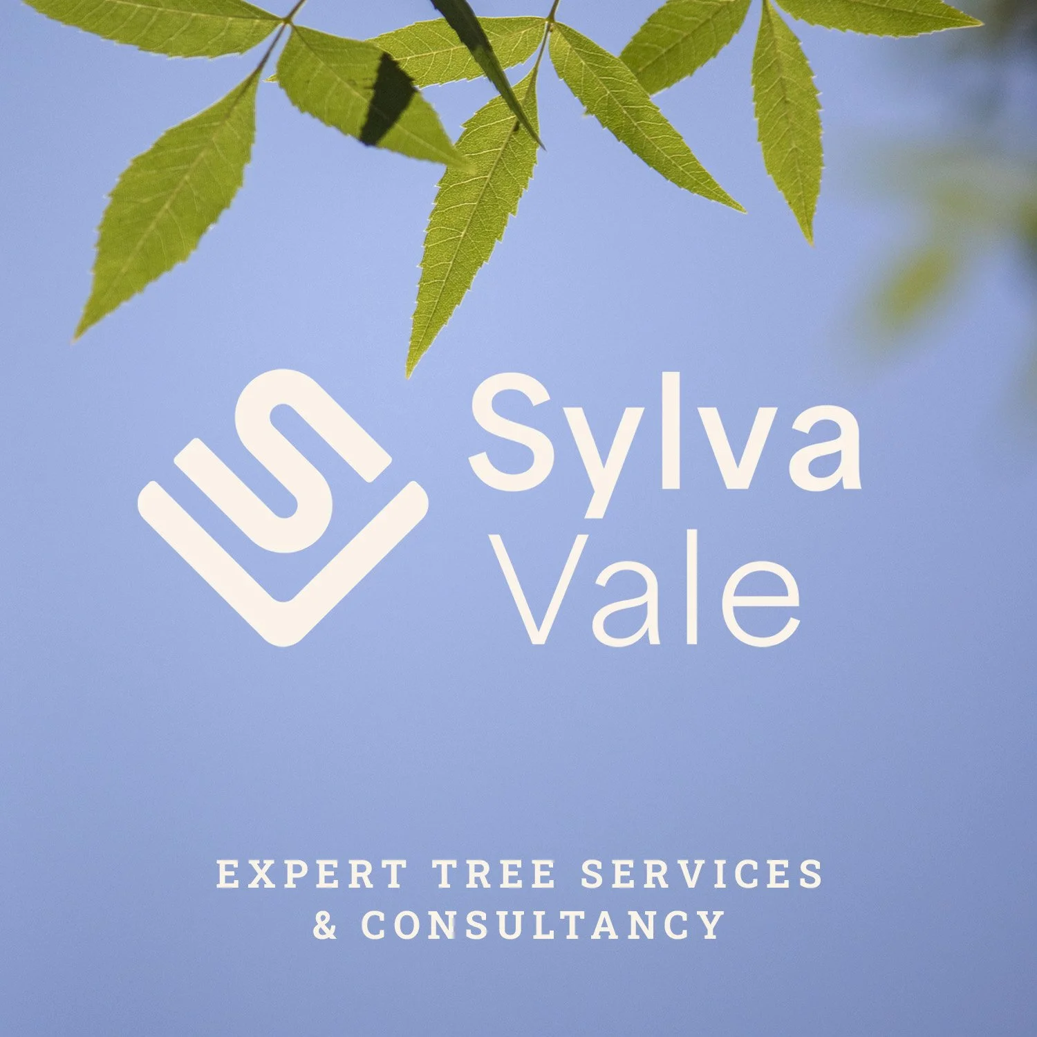 Sylva Vale – logo / branding / digital / print