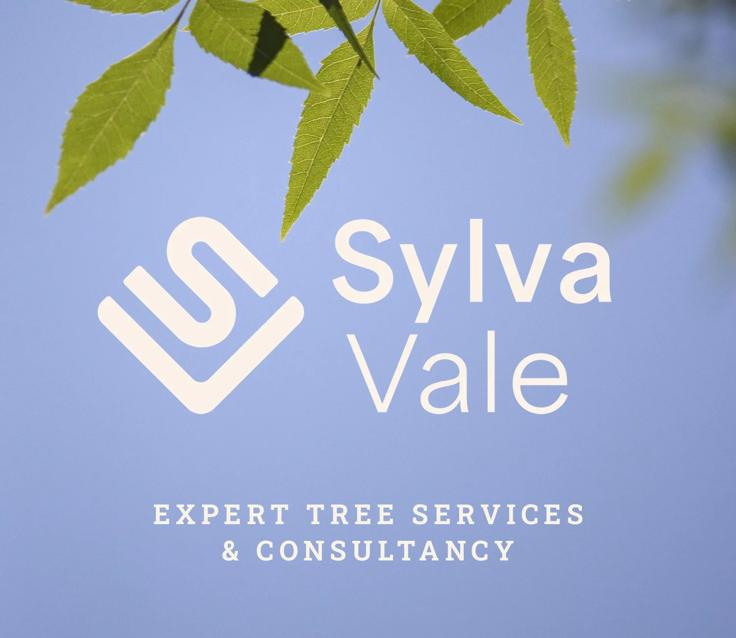 Sylva Vale logo for Cambridge branding project