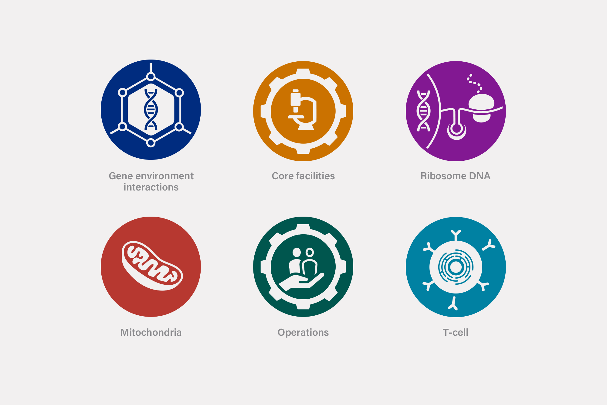 'Cambridge University' colourful icon designs.