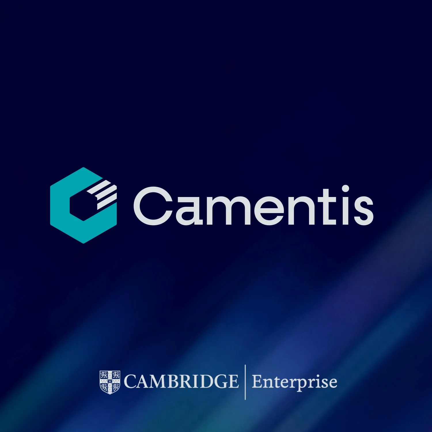 Camentis – logo / branding / digital / print