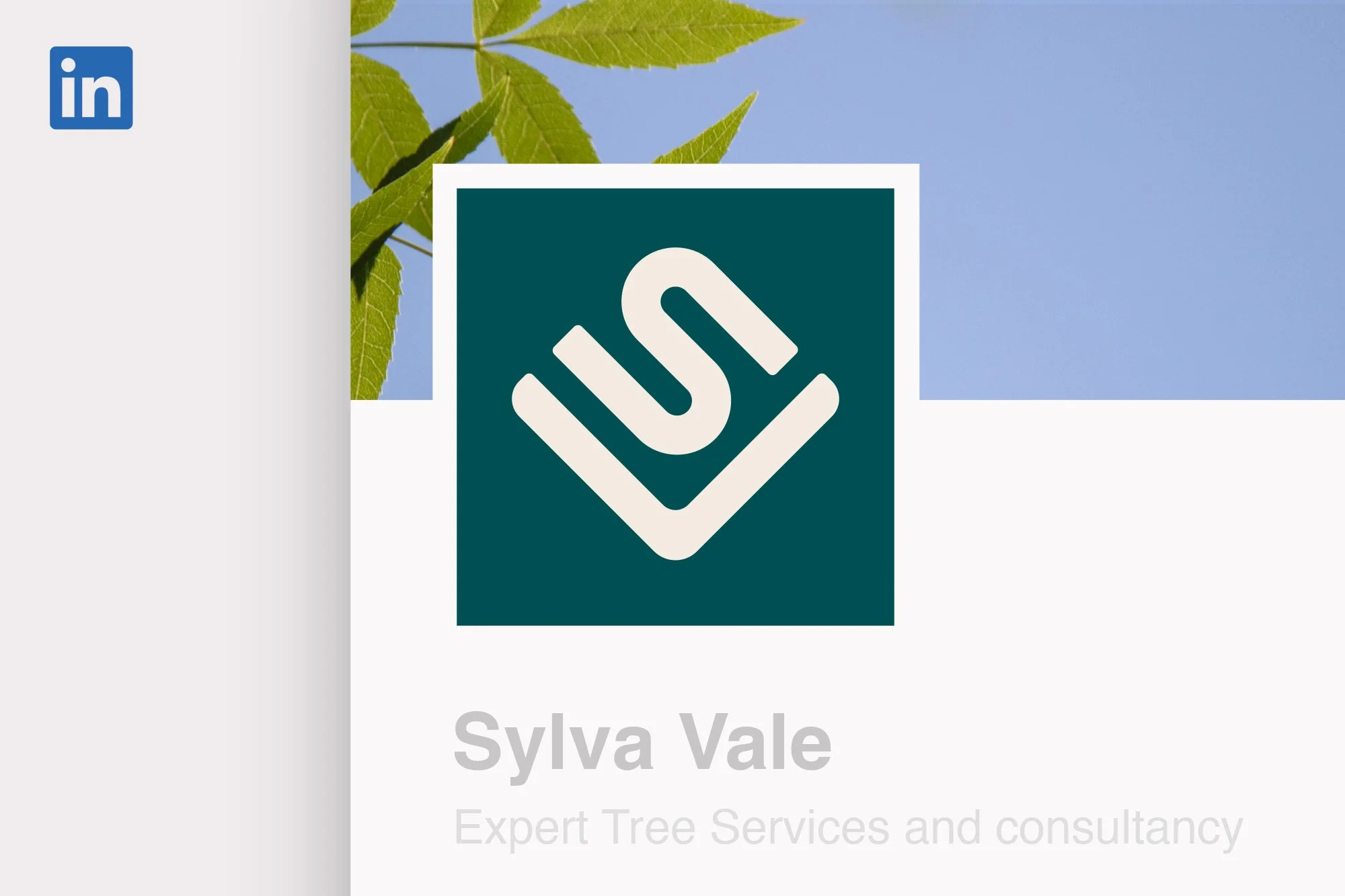 Sylva Vale social media icon on LinkedIn