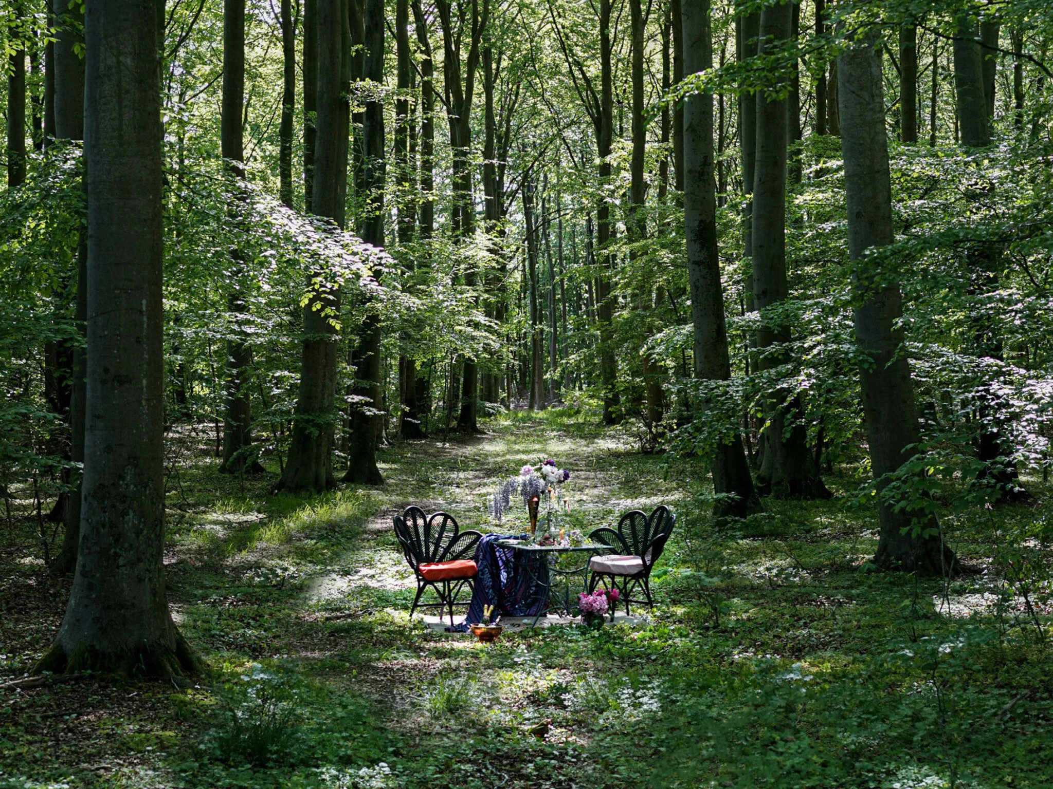 Metsä on minulle inspiraation lähde.