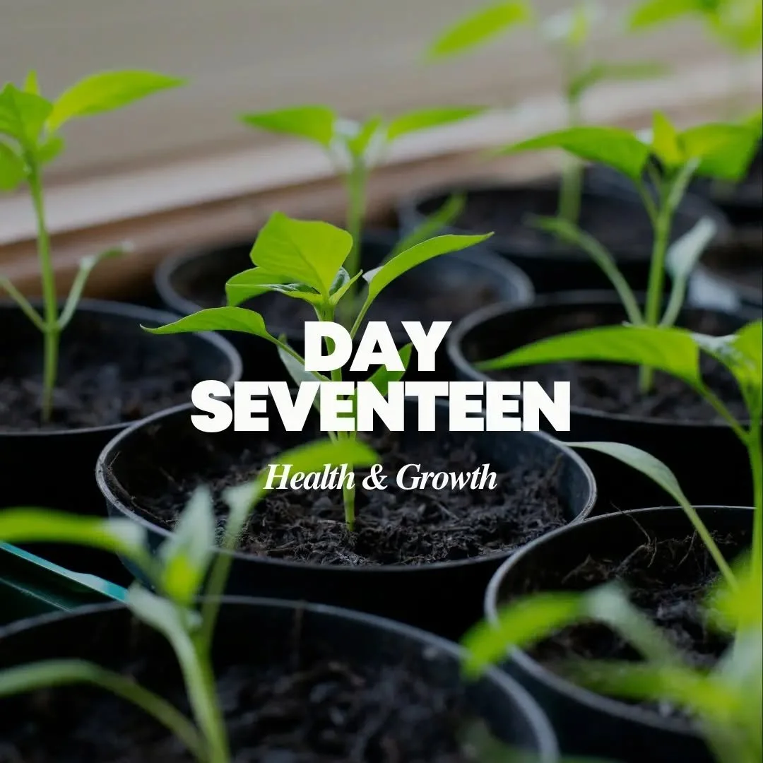 21 DAYS OF PRAYER DAY 17: HEALTH AND GROWTH

Pray for the health and flourishing of every Vineyard church and ministry across our nations. Ask that each community would grow in spiritual depth, unity, and fruitfulness, carrying the presence of Jesus 