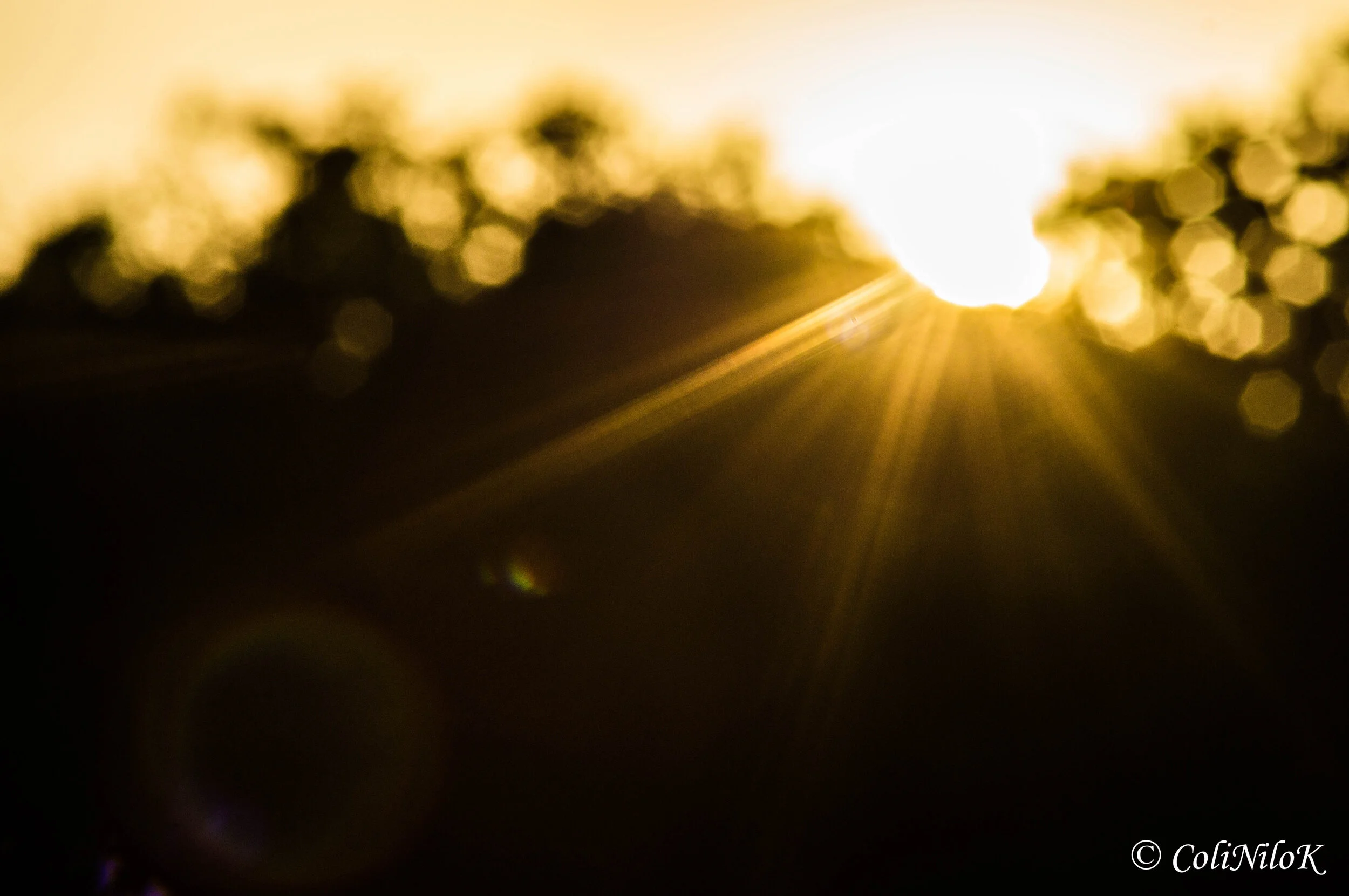 Lens flare 2 (1 of 1).jpg