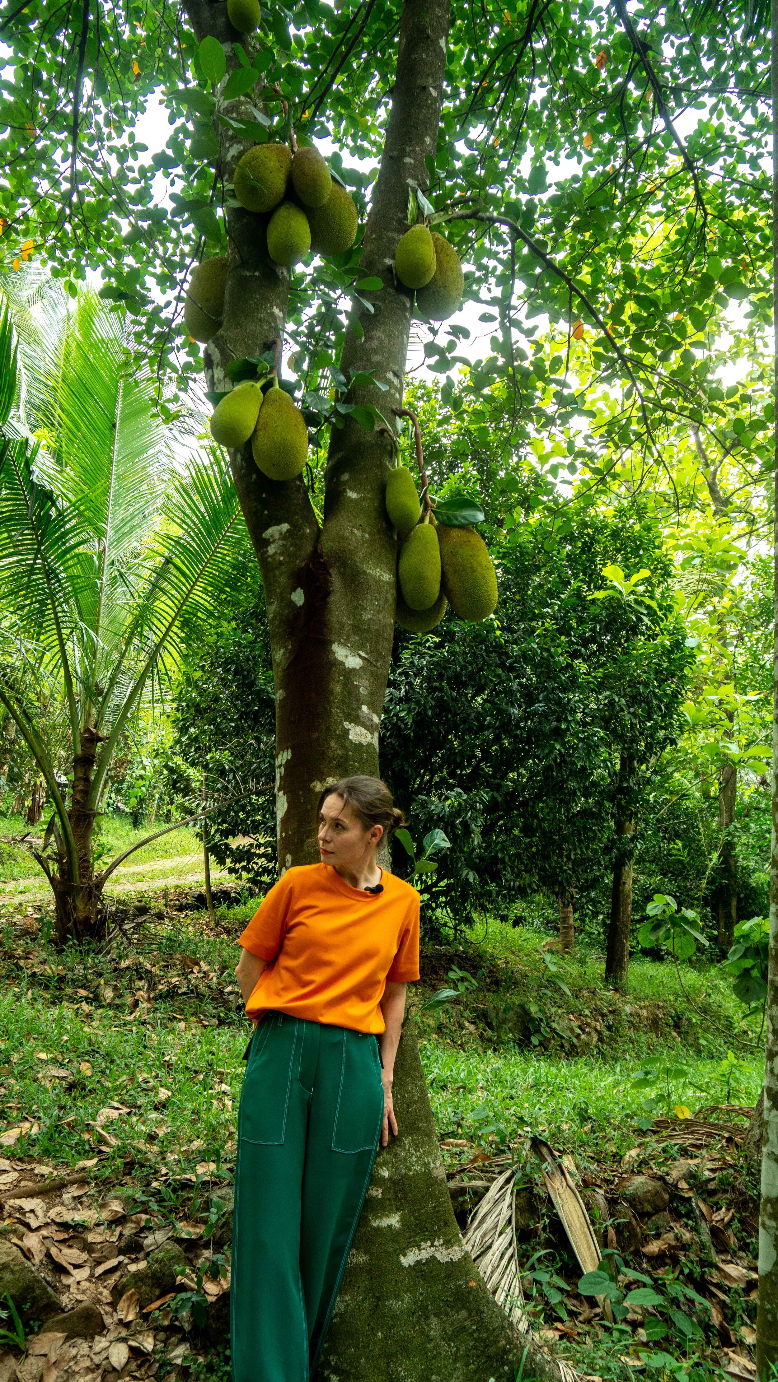  Jackfruit se česky jmenuje chlebovník. Nikdy jsem ho neviděla, natož abych ho ochutnala. A tady v Indii si jen tak rostl s plody přímo u kmene! A mně už se pomalu začínala z té hojnosti chutí, vůní a barev motat hlava. Když je jackfruit zralý, chutn
