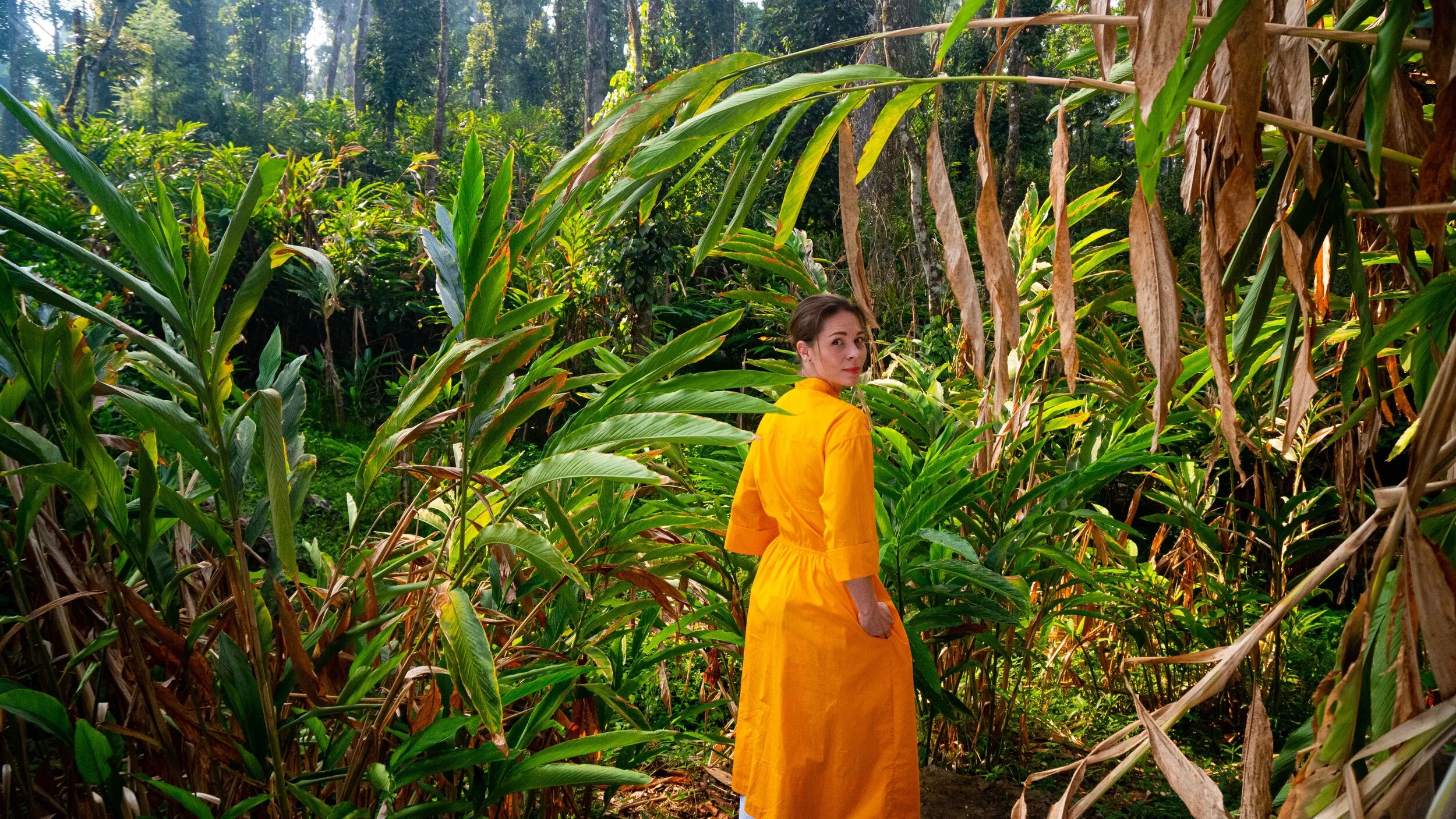 Fotogalerie z Indie: plantáže s kořením