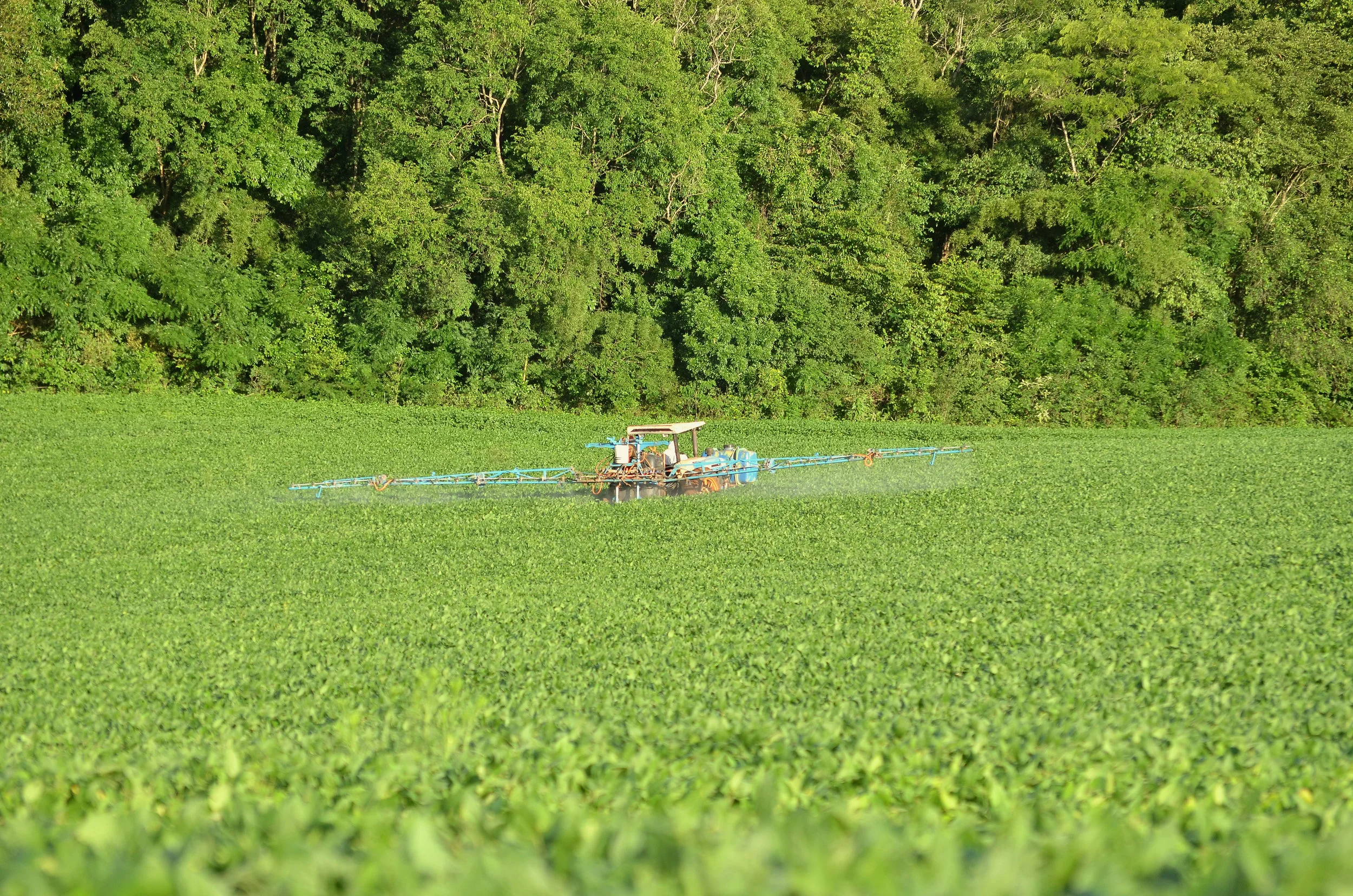 Rozhovor s ekologem Mojmírem Vlašínem o problematice Roundupu a GMO