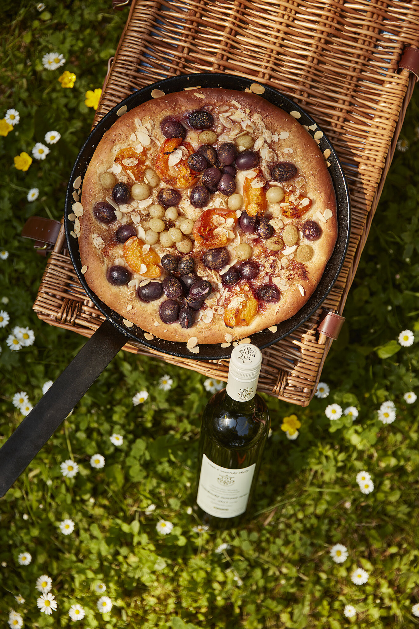 Koláč s vínem a meruňkami