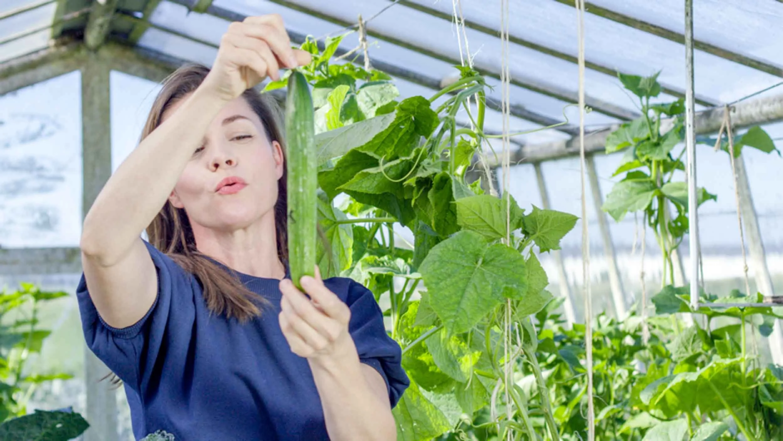 CULINA BOTANICA_H6_barva--72-3.jpg