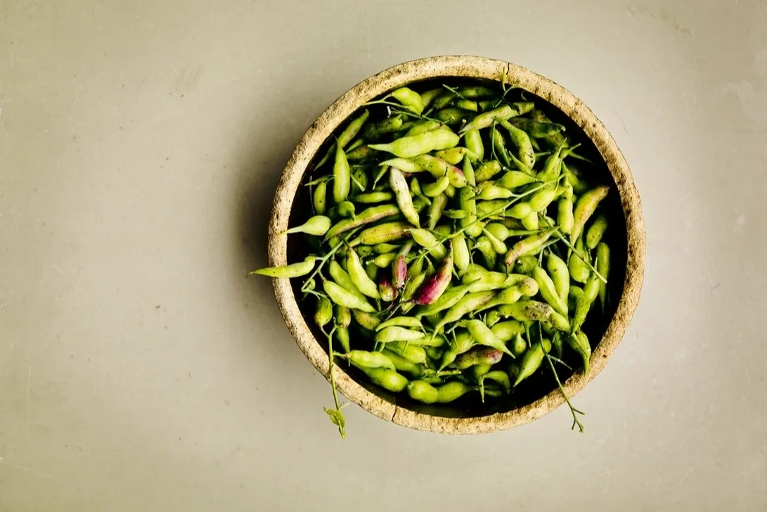 Ředkvičkové šešule