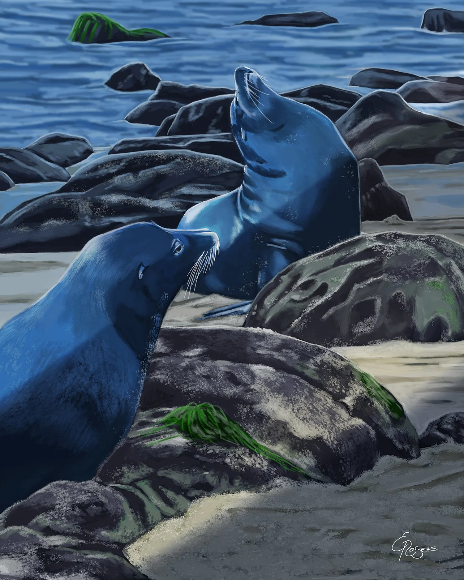 San Deigo Sea Lions