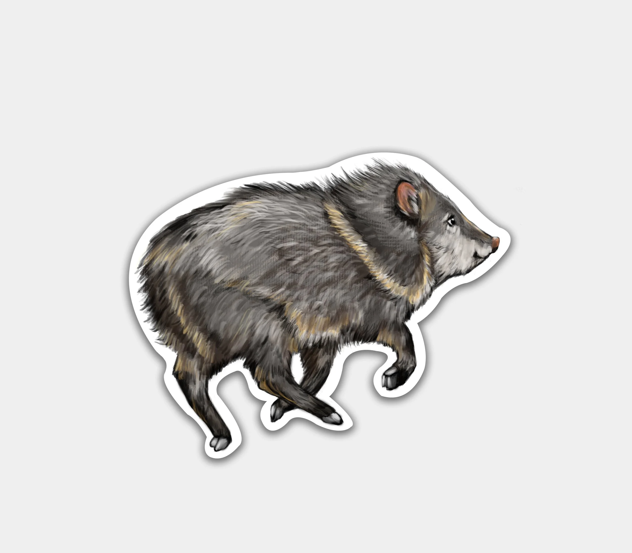 Javelina_Stickers_website.jpg