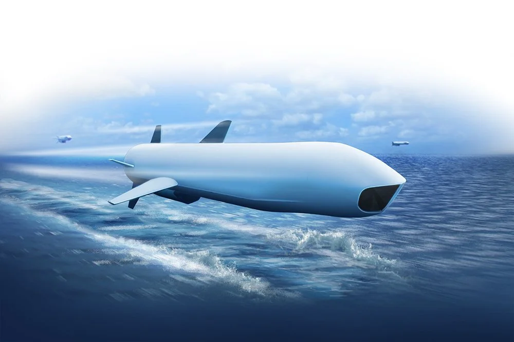 NSM Illustration.jpg