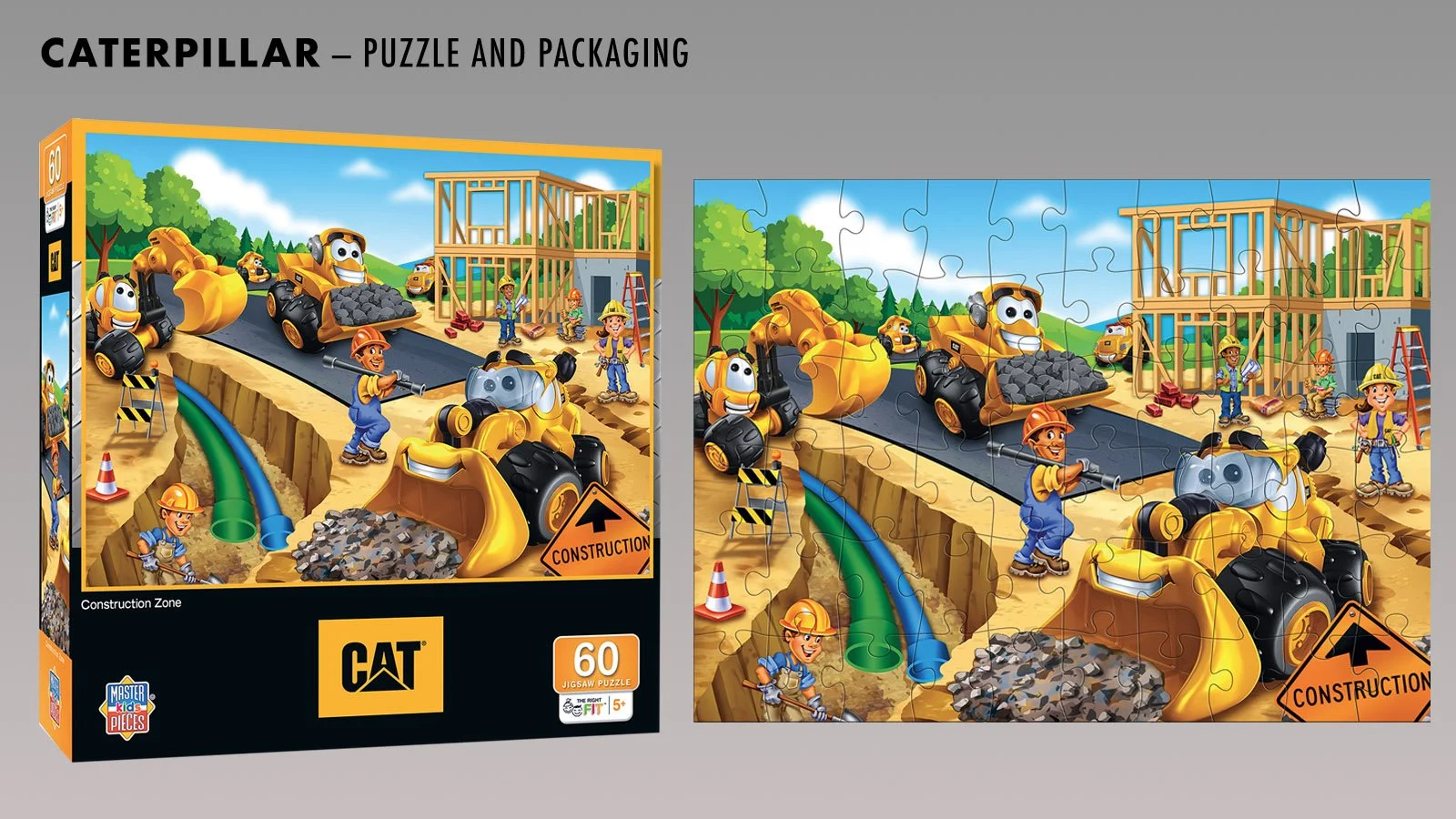 CAT project Final.jpg