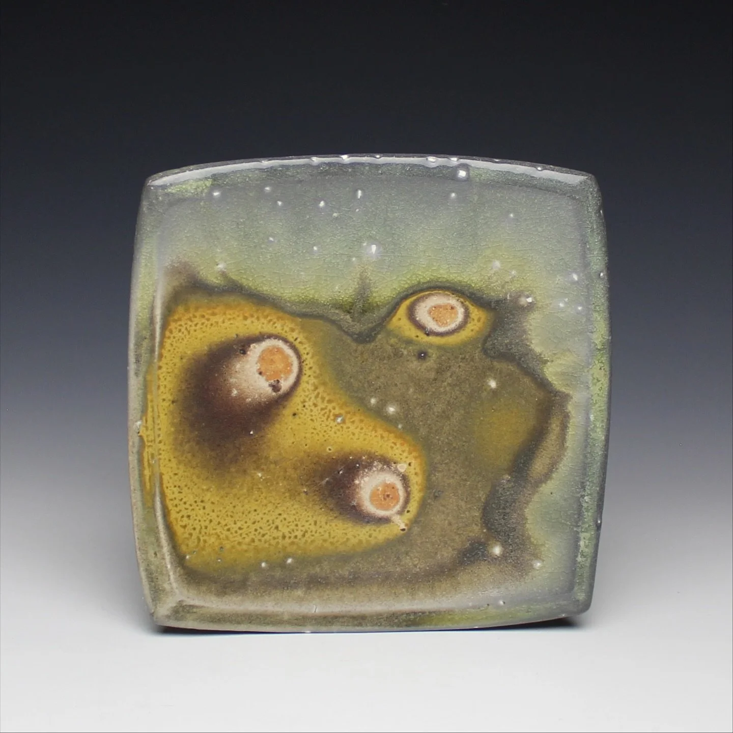 side plate

A follow up from a previous post. This plate is light clay with a dark, ochre rich terra sigillata coating. The ochre rich clay for this sig comes from a pit of clay in Northern California, about 3 hours away from me. Hand dug, slightly p