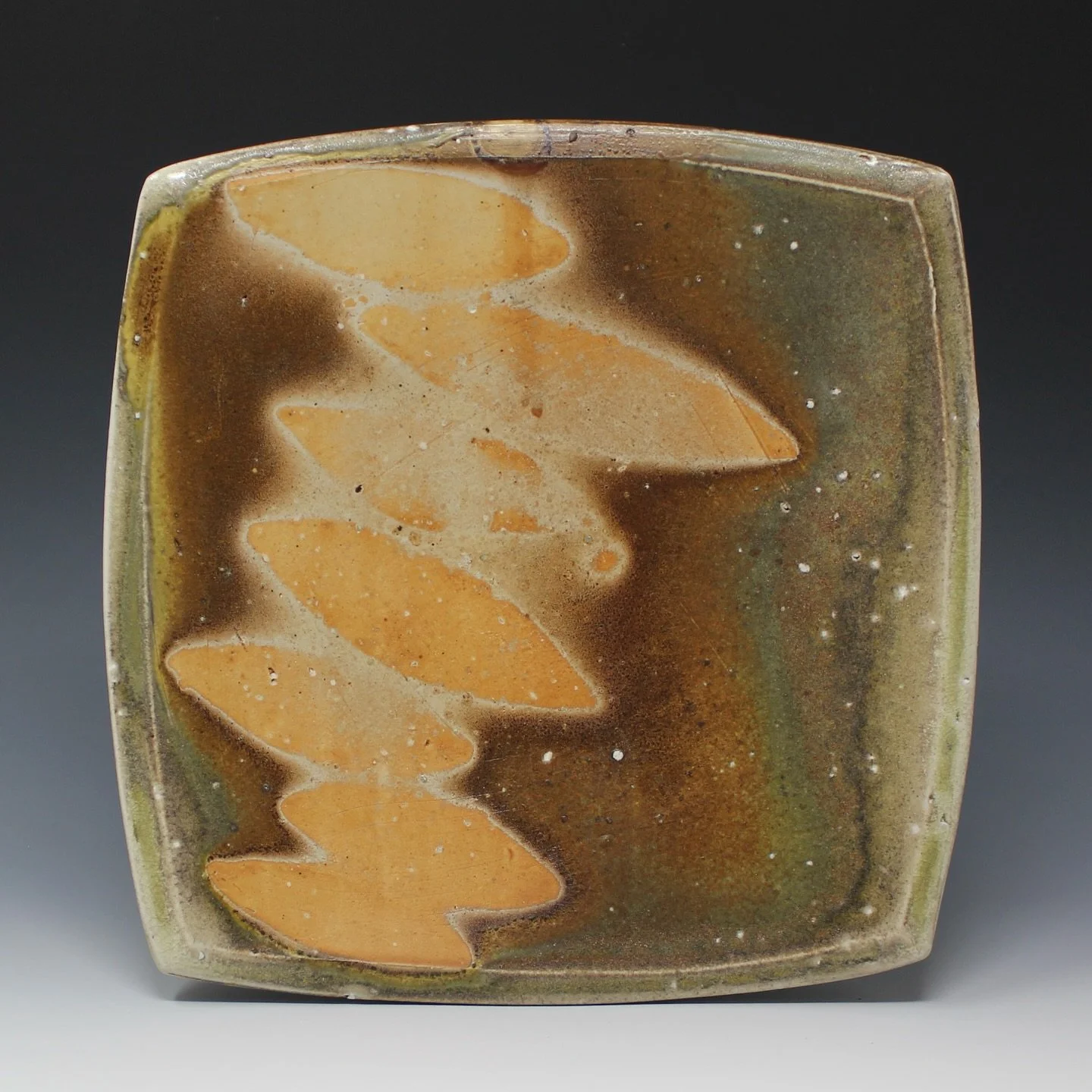 Dinner plate with meandering shadow. 

I pulled a few of these out of my last firing and am looking forward to sharing them tomorrow for our NYE pottery party!

Link in my profile to RSVP / the address!

#sodafiredpottery 
#terrasigillata