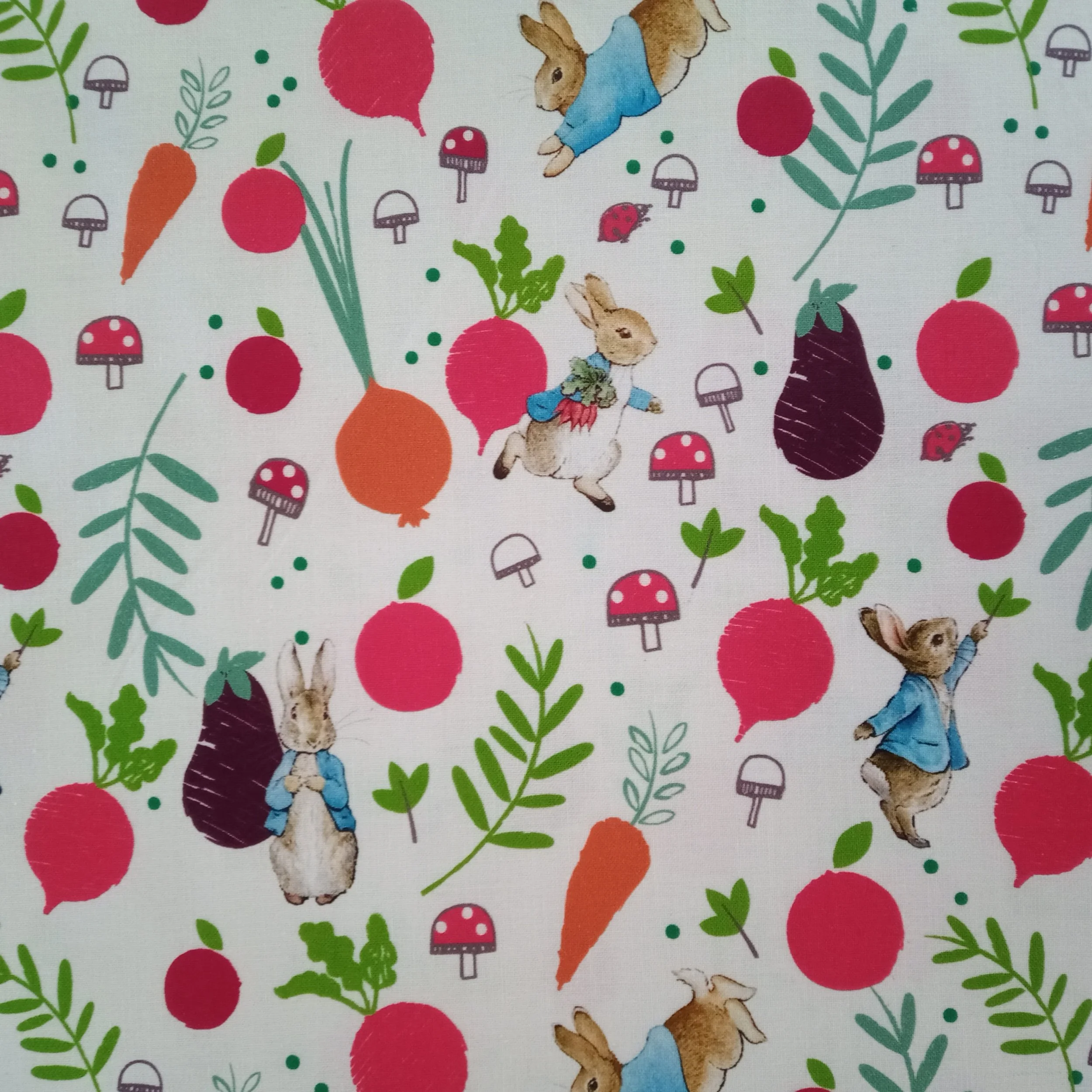 Peter Rabbit Cotton Fabric Garden Path Crafty Baba Fabrics