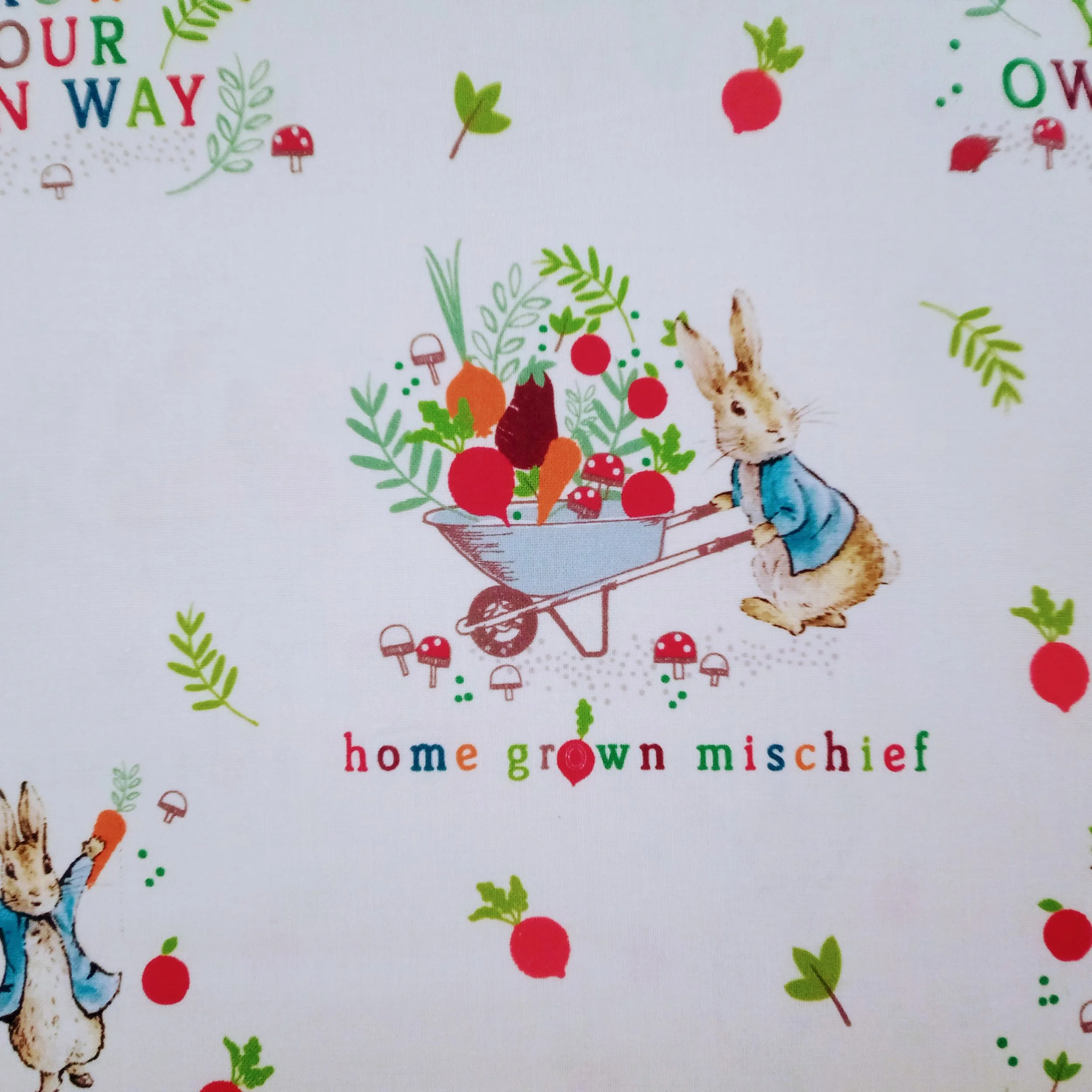 Peter Rabbit White Cotton Fabrics-Per 50cm PR19 Crafty Baba Fabrics