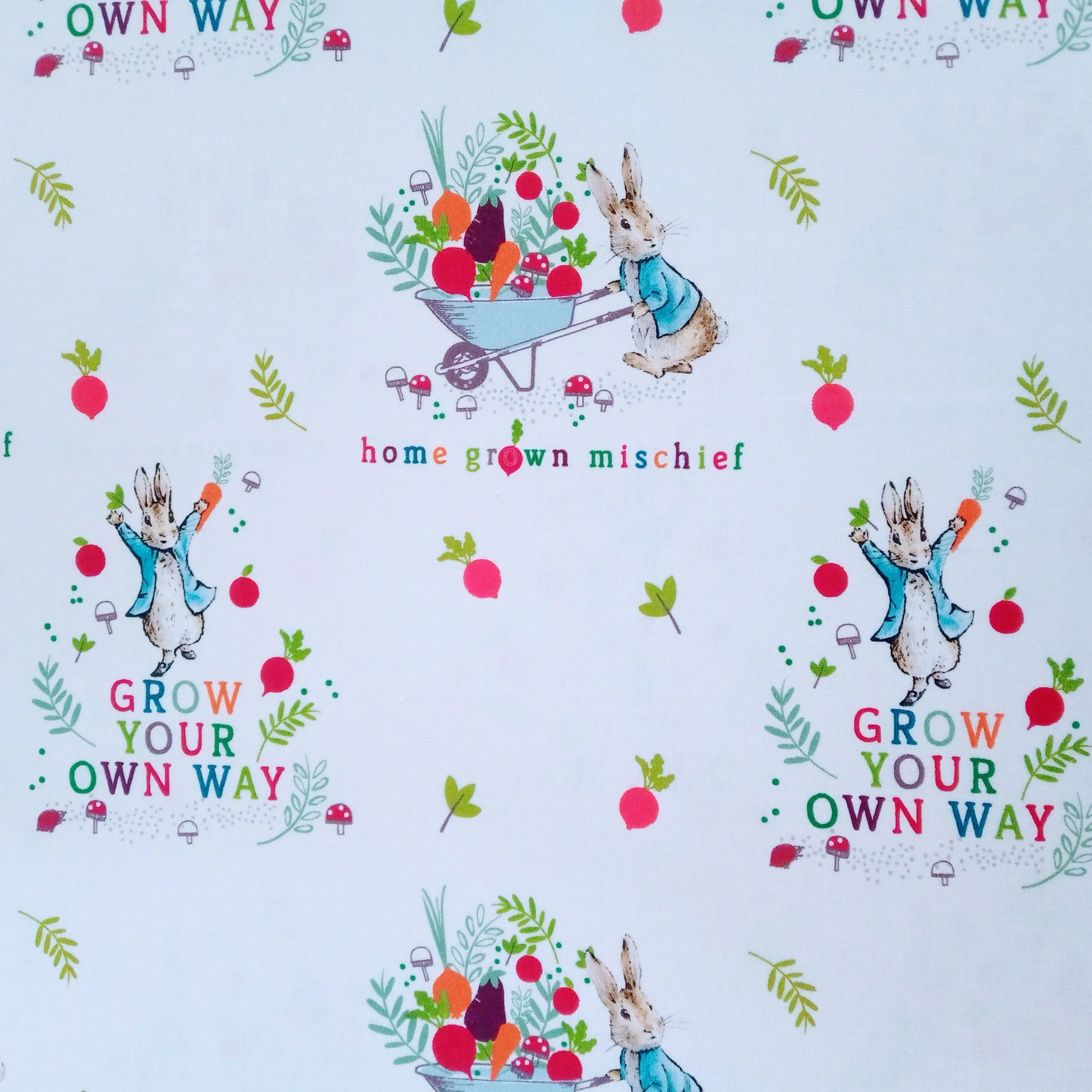 Peter Rabbit White Cotton Fabrics-Per 50cm PR19 Crafty Baba Fabrics