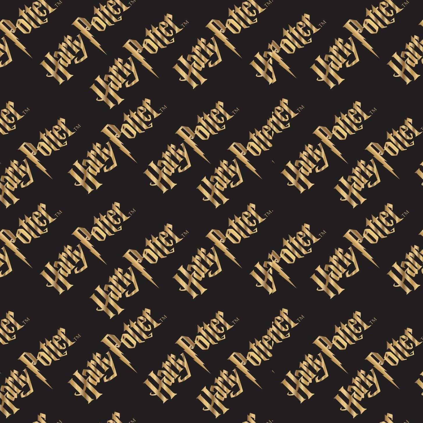 HP20.jpg
