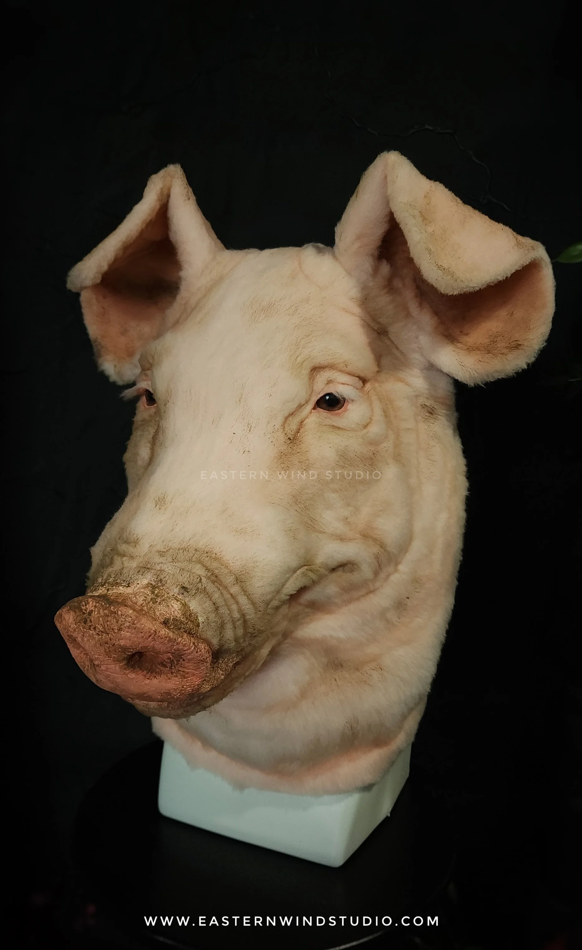 Pig & Wild Boar - Prop, Mask, Mount — Eastern Wind Studio