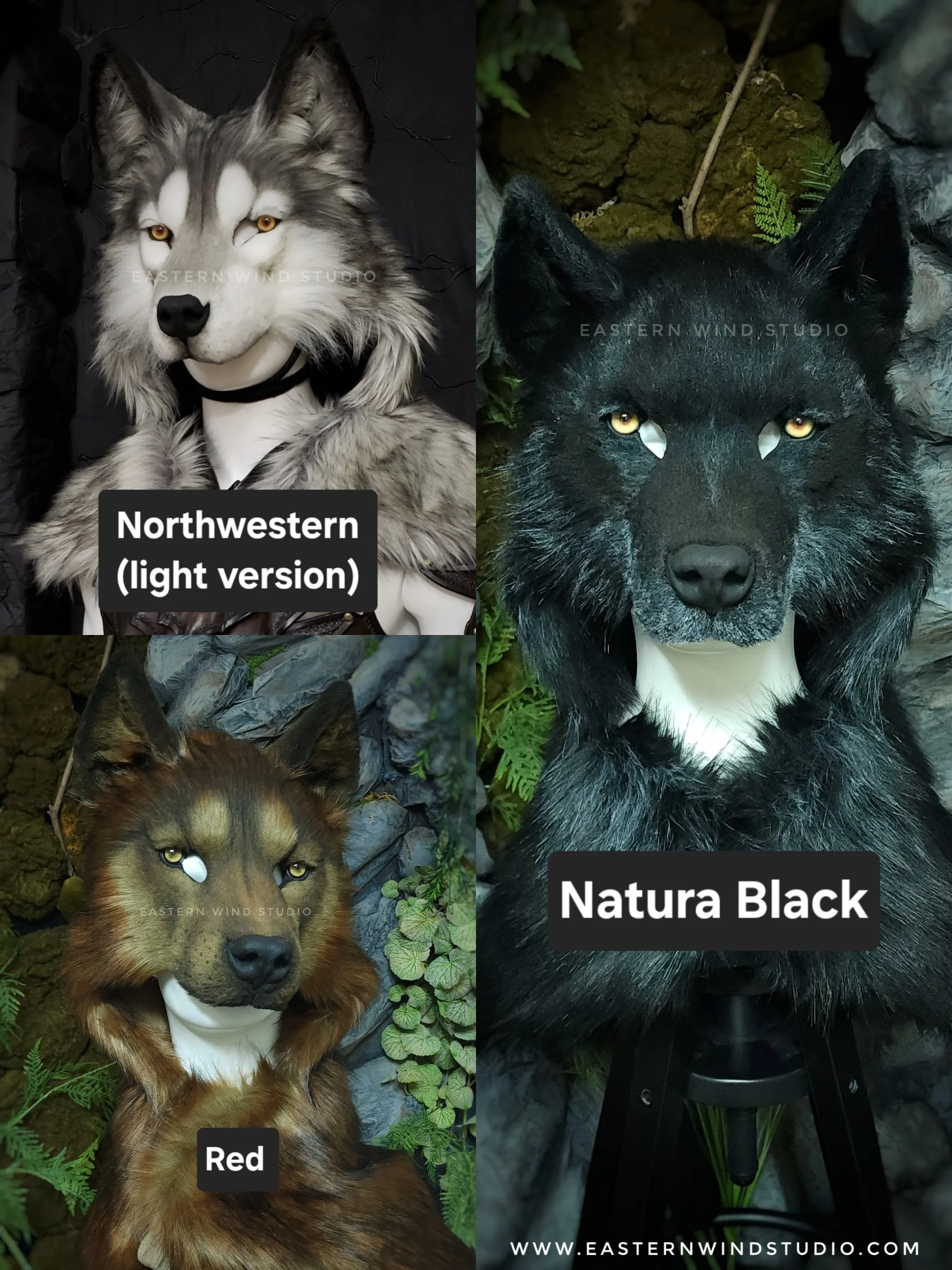 PhotoCollage_1786382604669.jpg