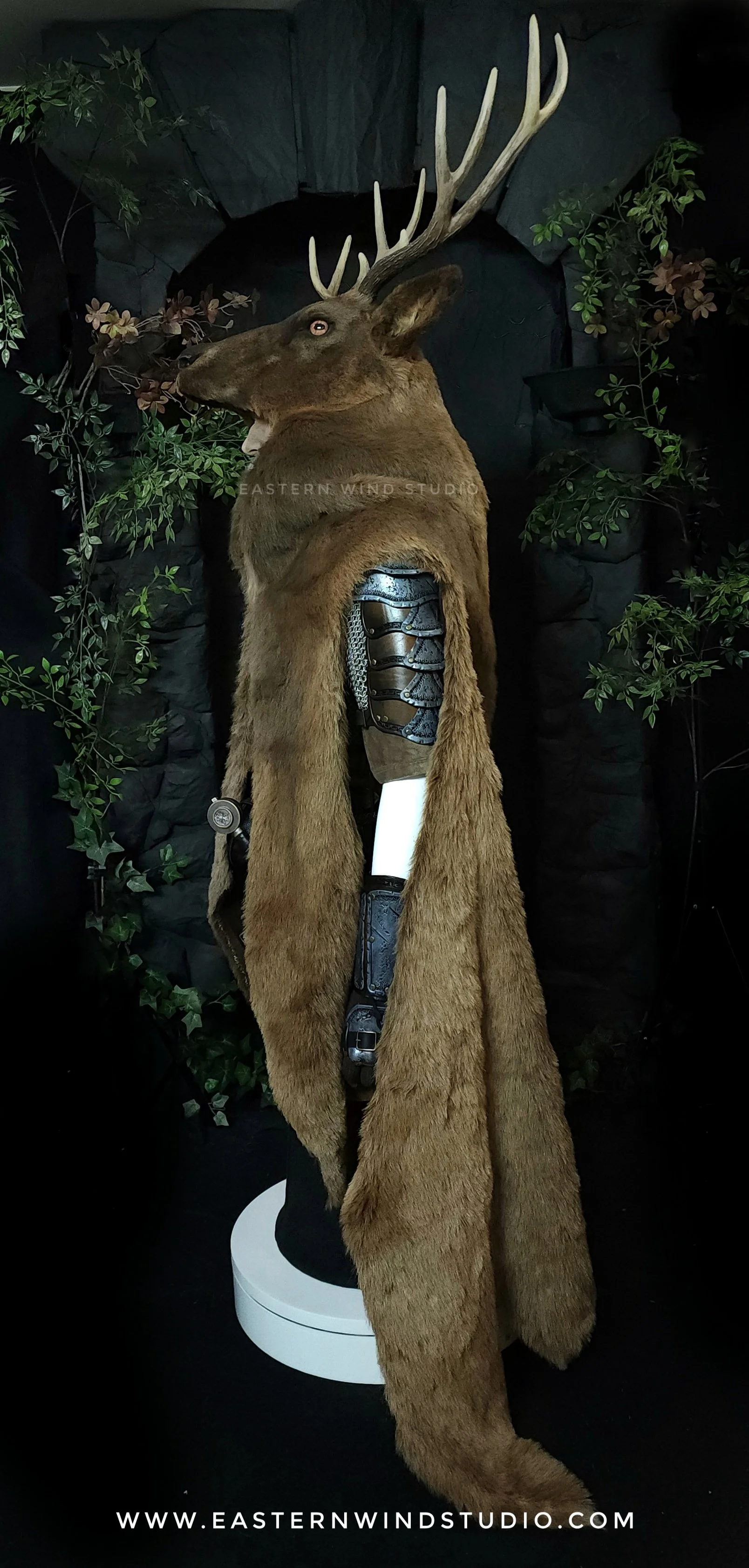 20260208_151453.jpg (Copy)