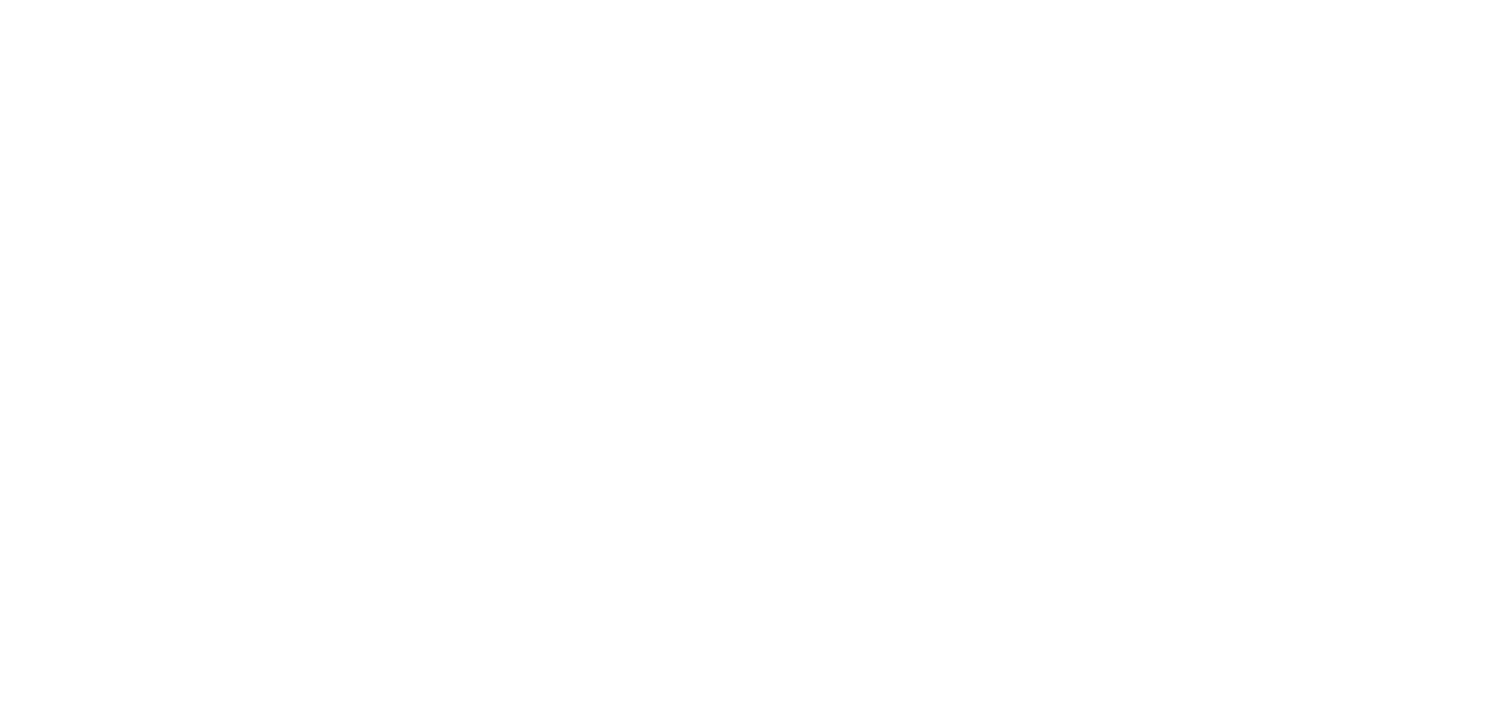 Stern Technology Association