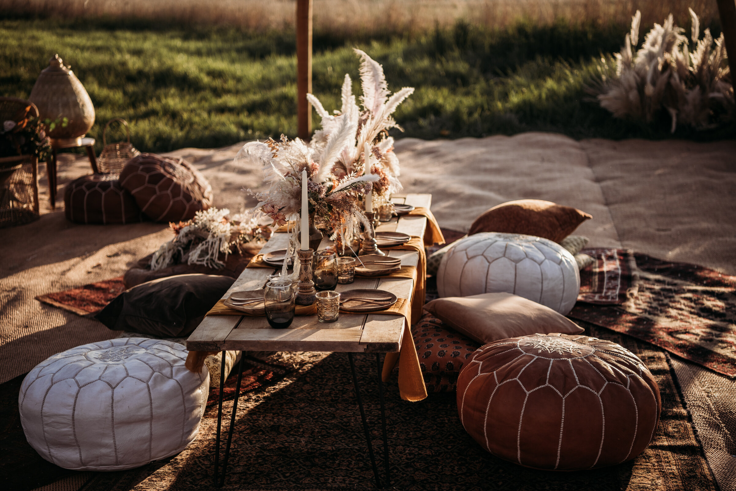 Wilderness-9957.jpg