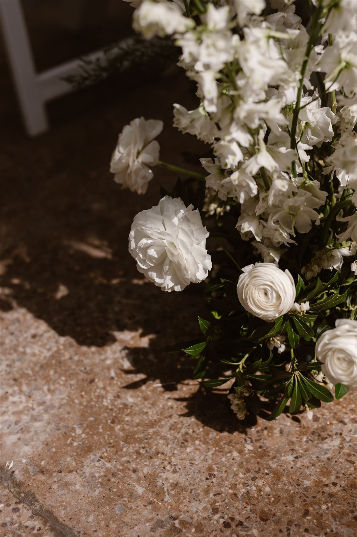 agnesblacka-4818_websize (1).jpg