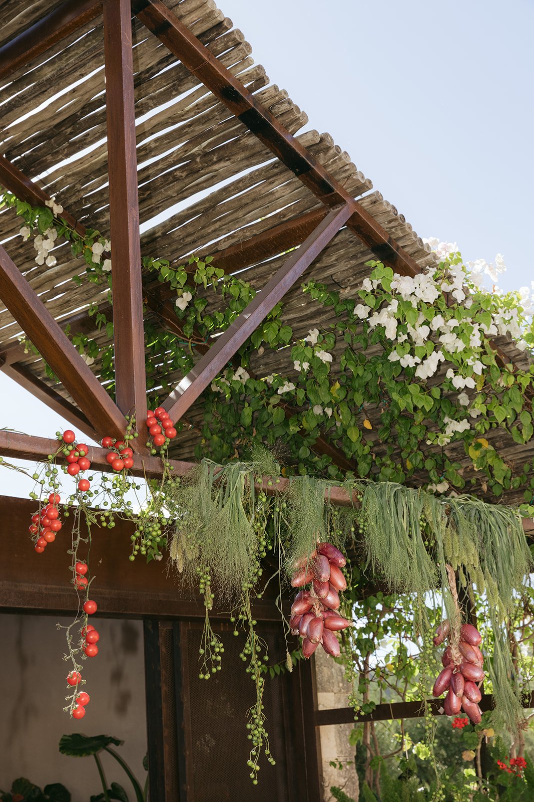 118 - Alex-Karsyn-Braccialieri-20.jpg