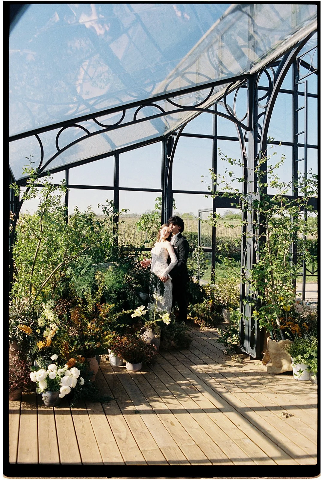 00021_MINERVA_VINES_FILM.jpg