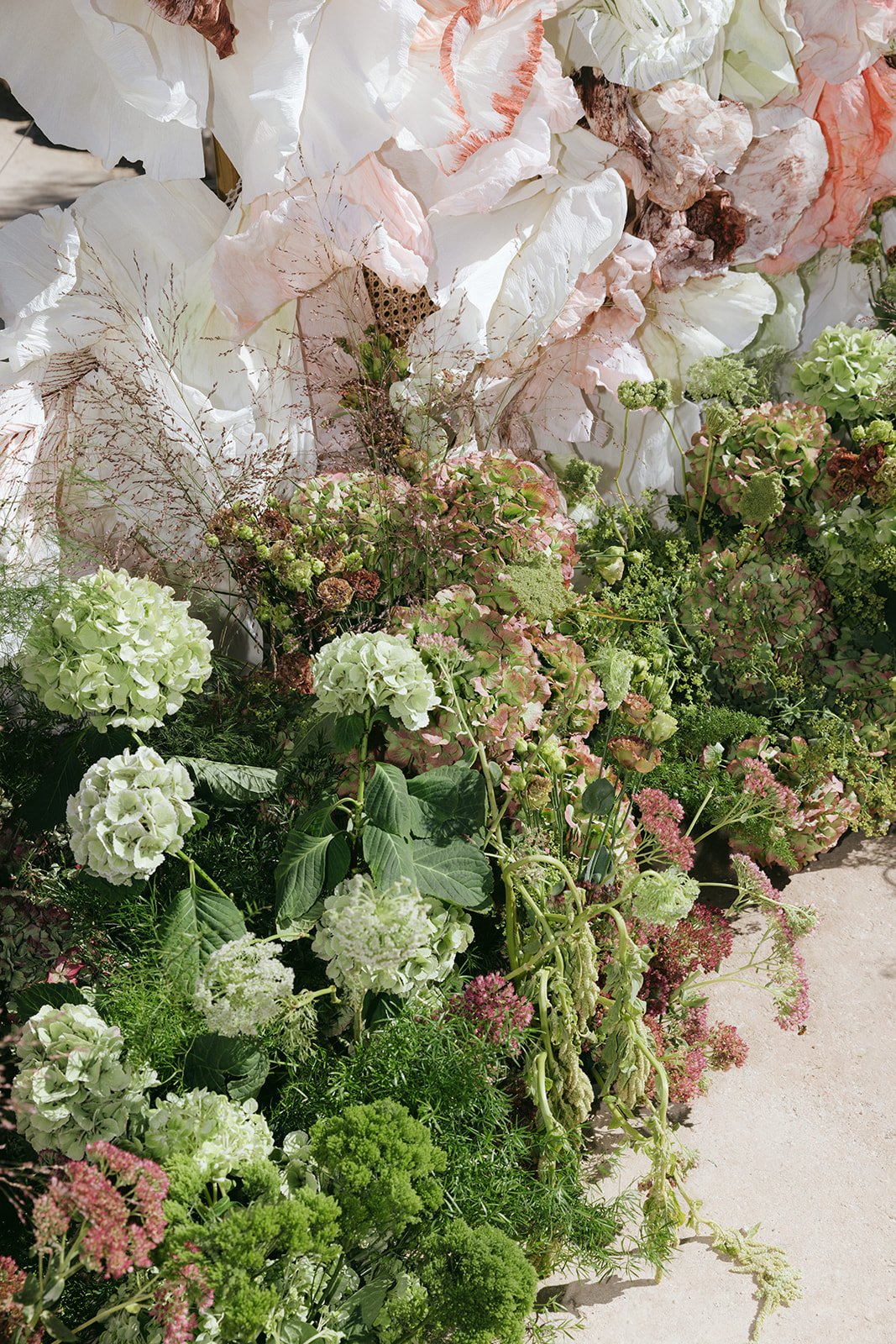 336 - Alex-Karsyn-Braccialieri-3924.jpg