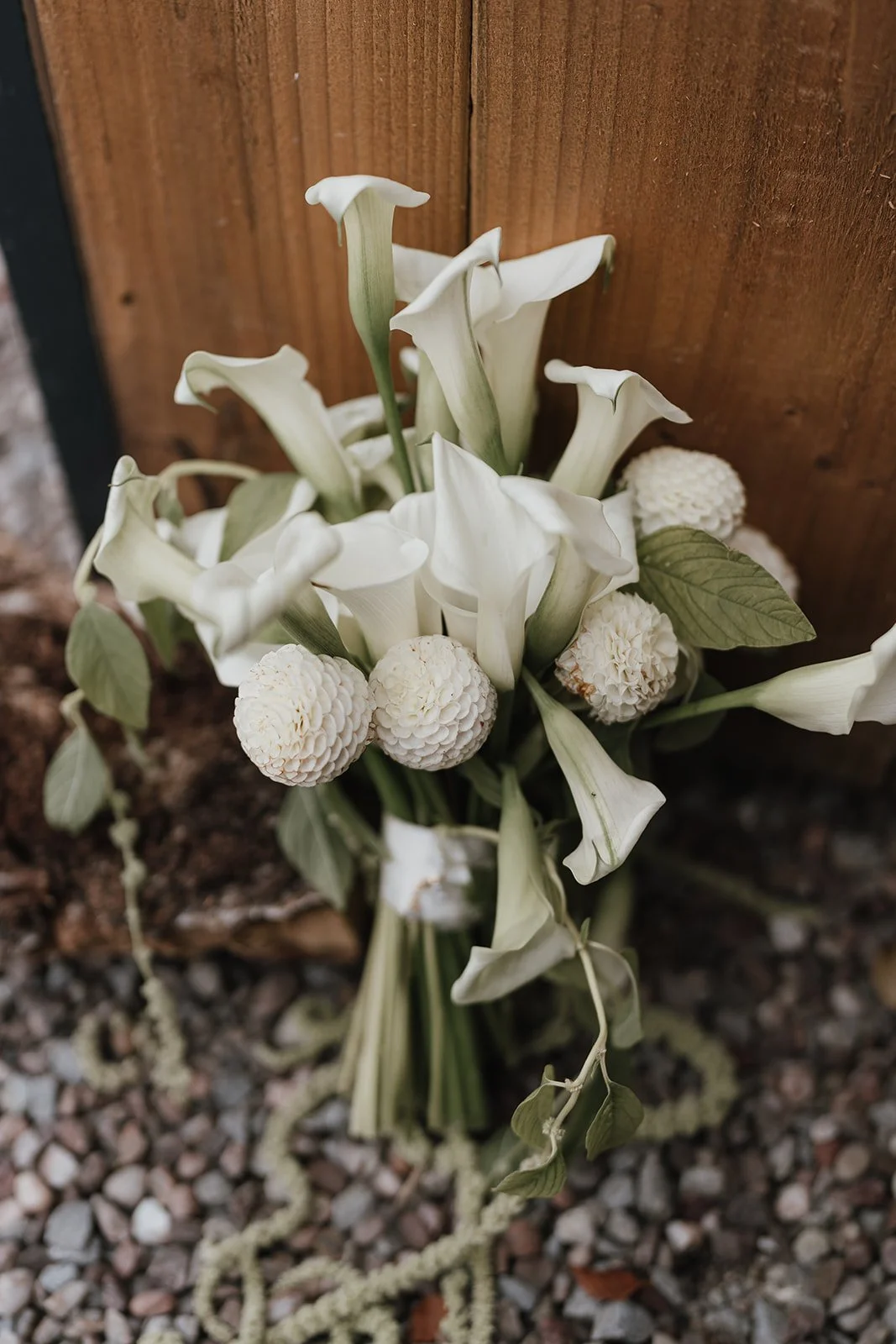 Georgia & Josh-450.jpg