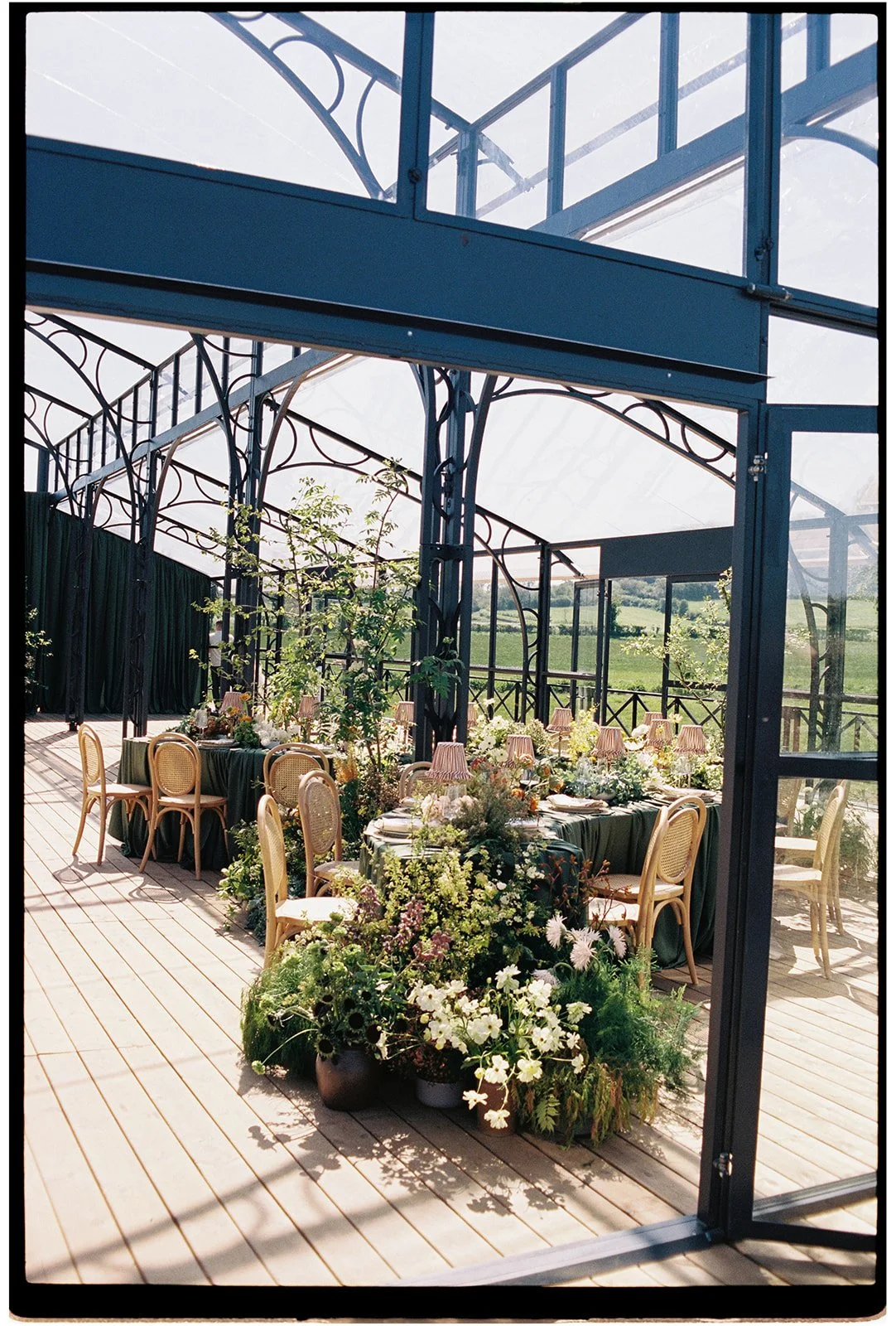 00010_MINERVA_VINES_FILM.jpg