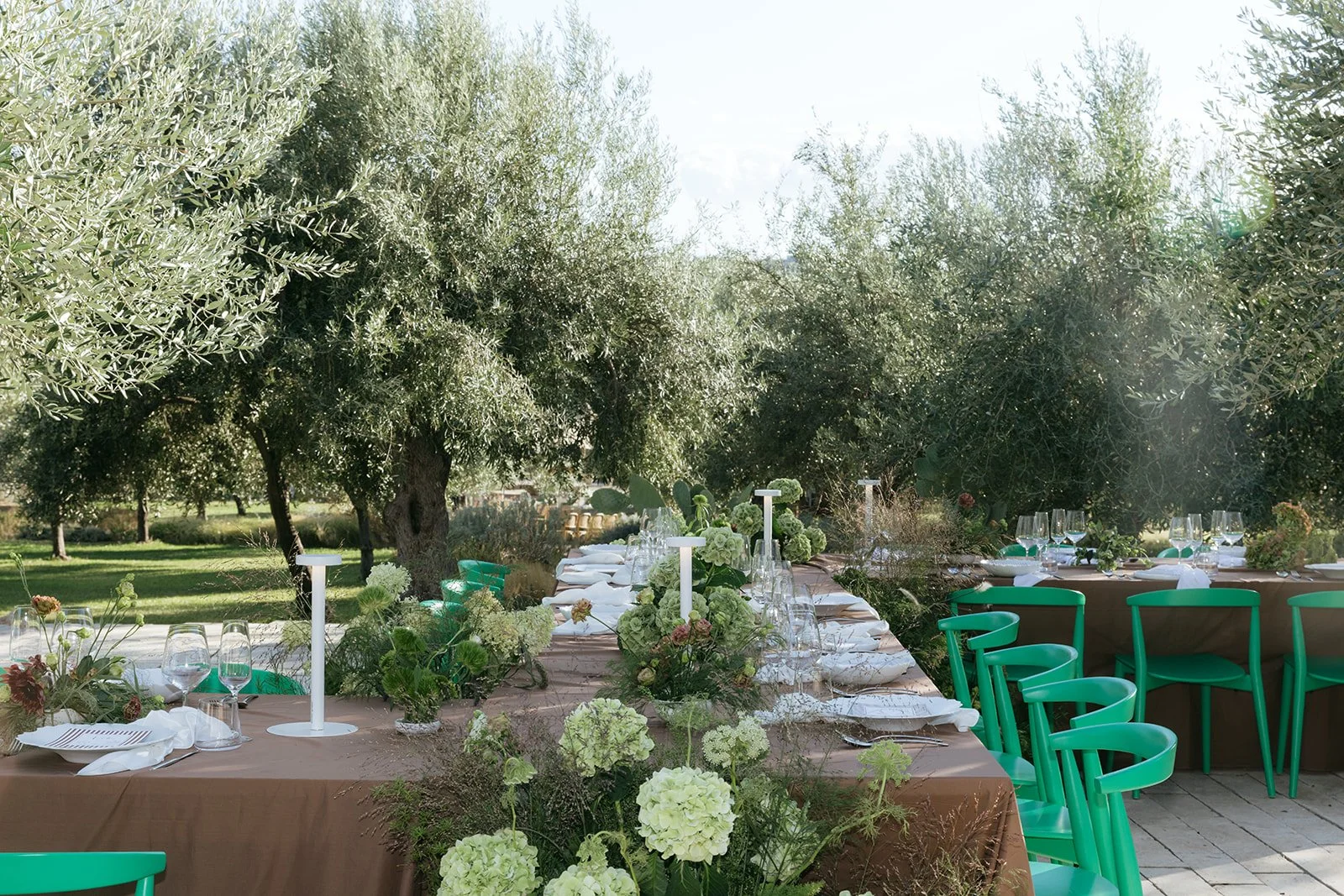 436 - Alex-Karsyn-Braccialieri-6465.jpg