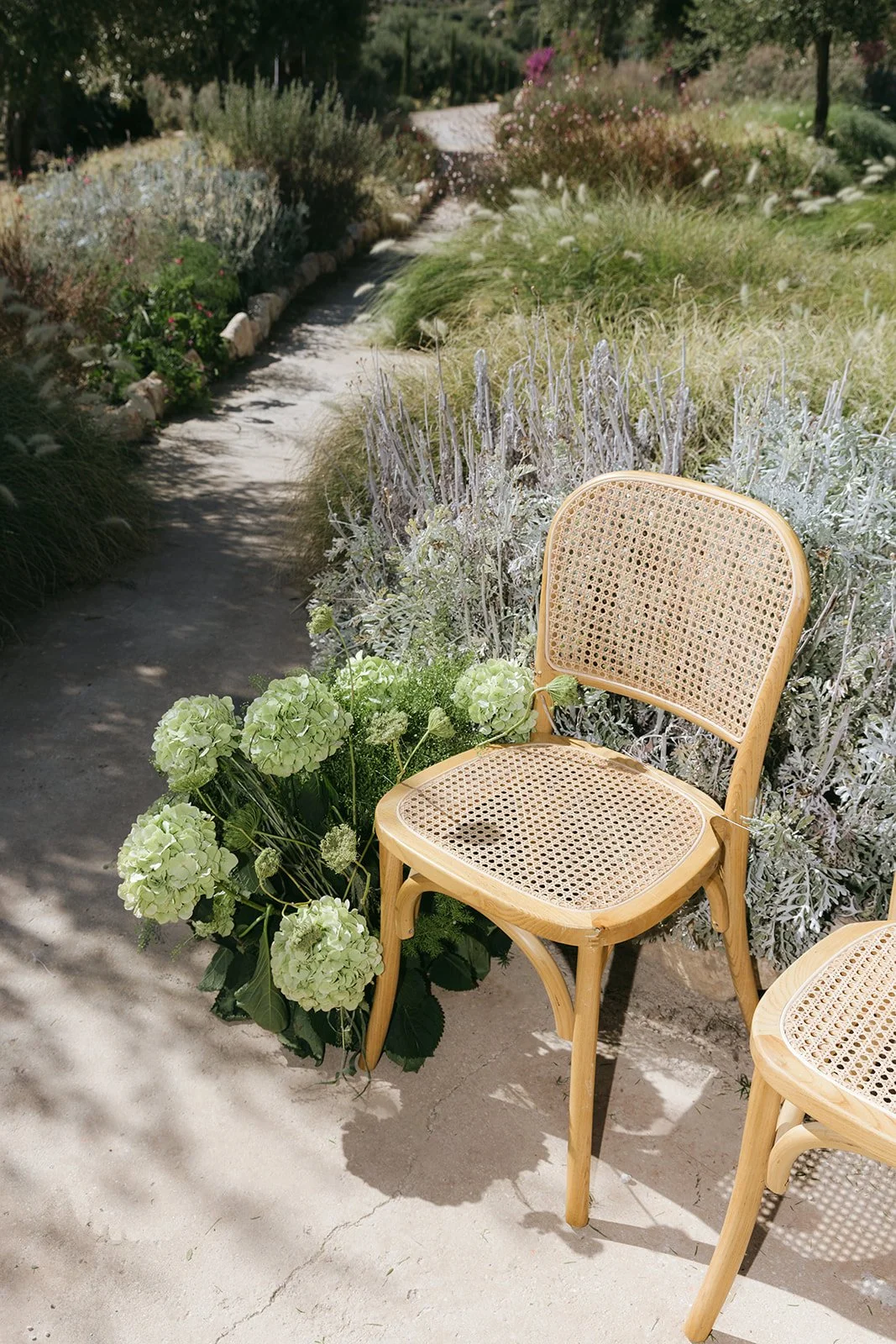 335 - Alex-Karsyn-Braccialieri-3919.jpg