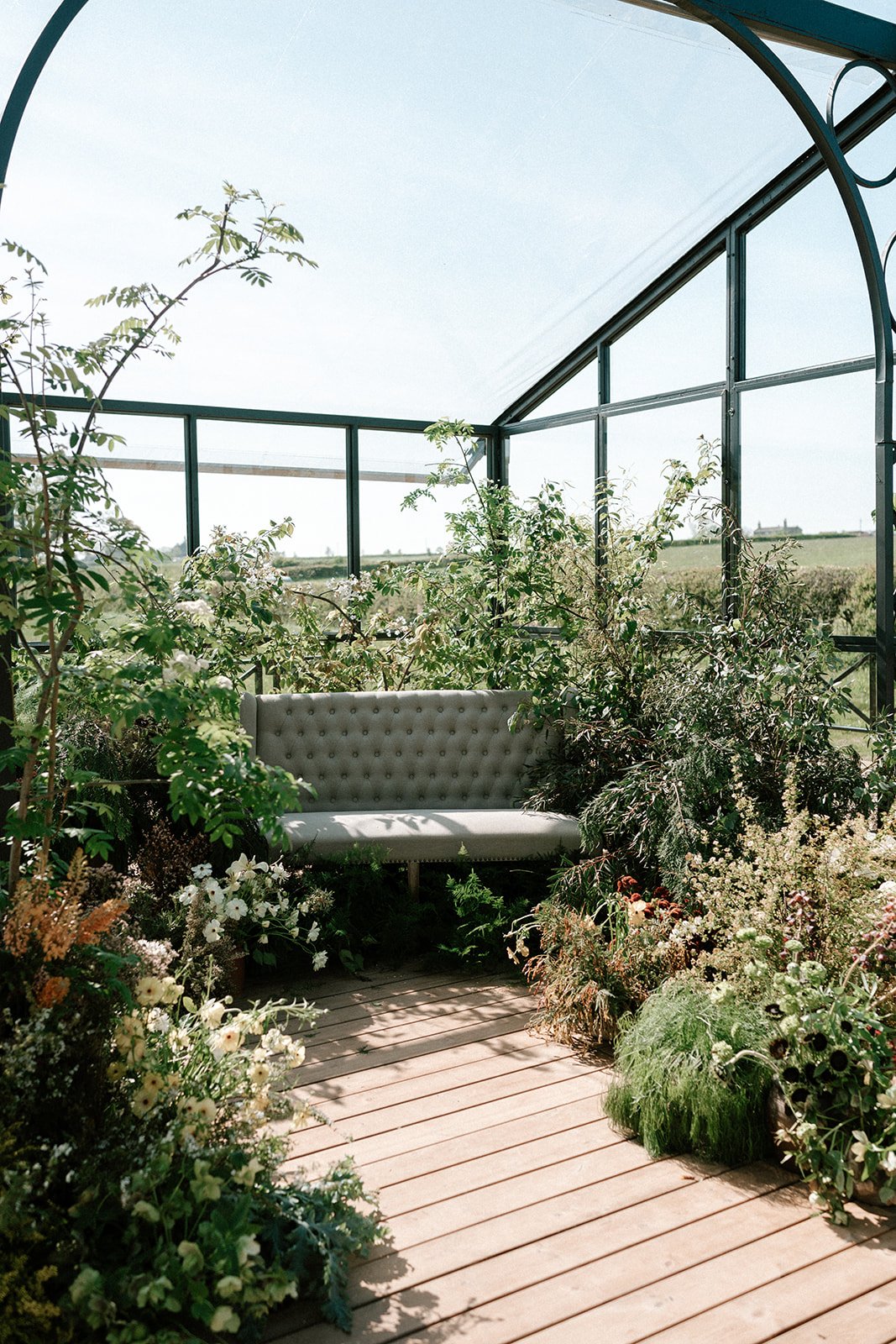 Minerva Vines Lark - Laura Williams Photography - 151.jpg