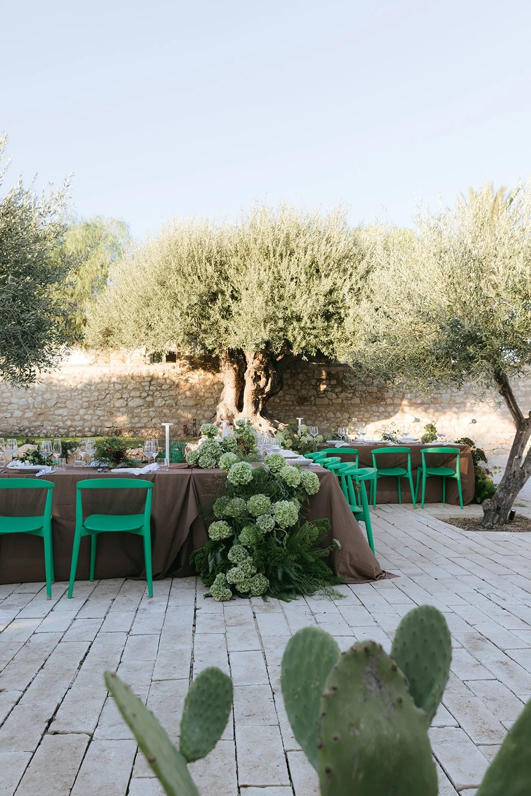 446 - Alex-Karsyn-Braccialieri-6925.jpg